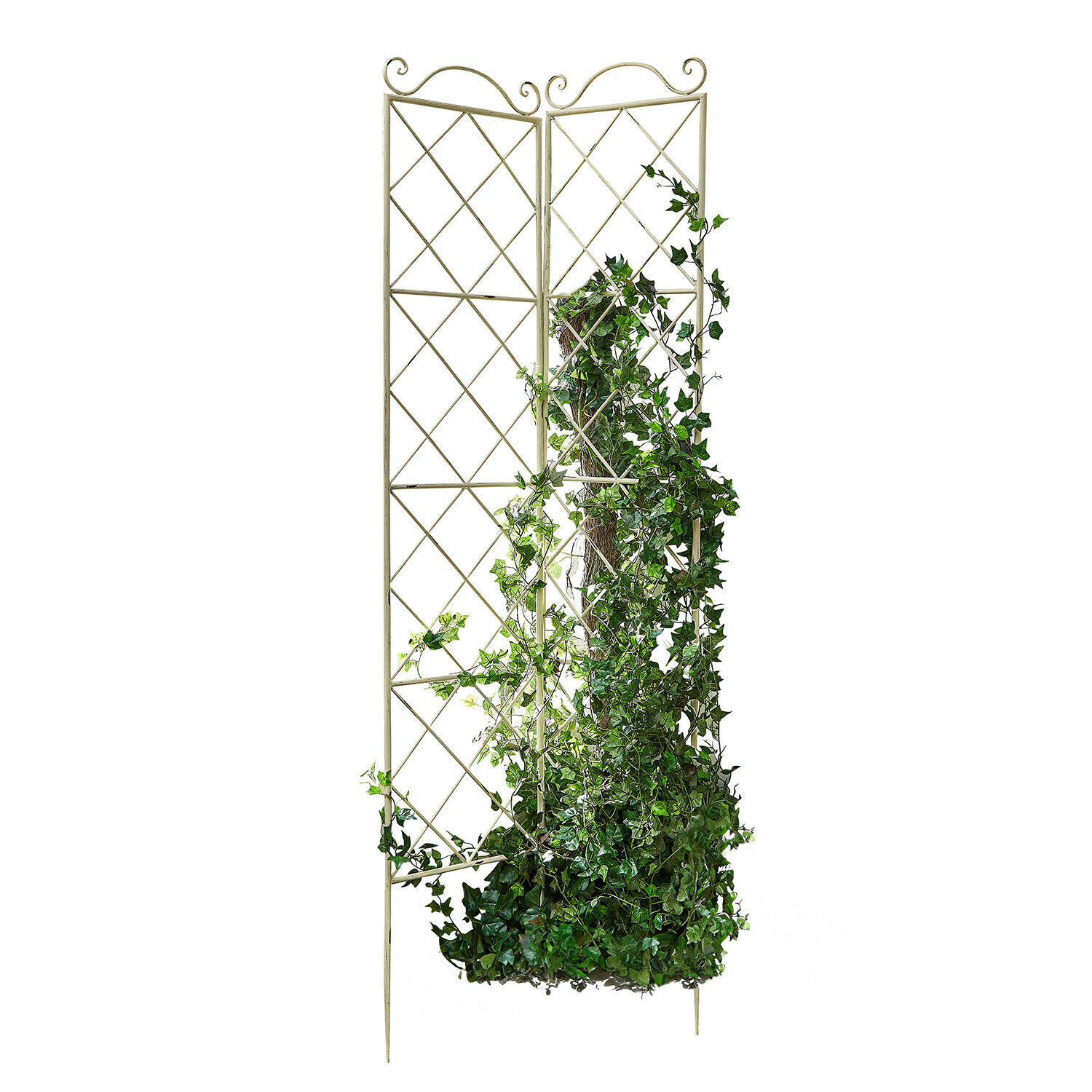 Metall-Rankgitter in Creme mit grünem Efeu zur Wand- und Gartendekoration
