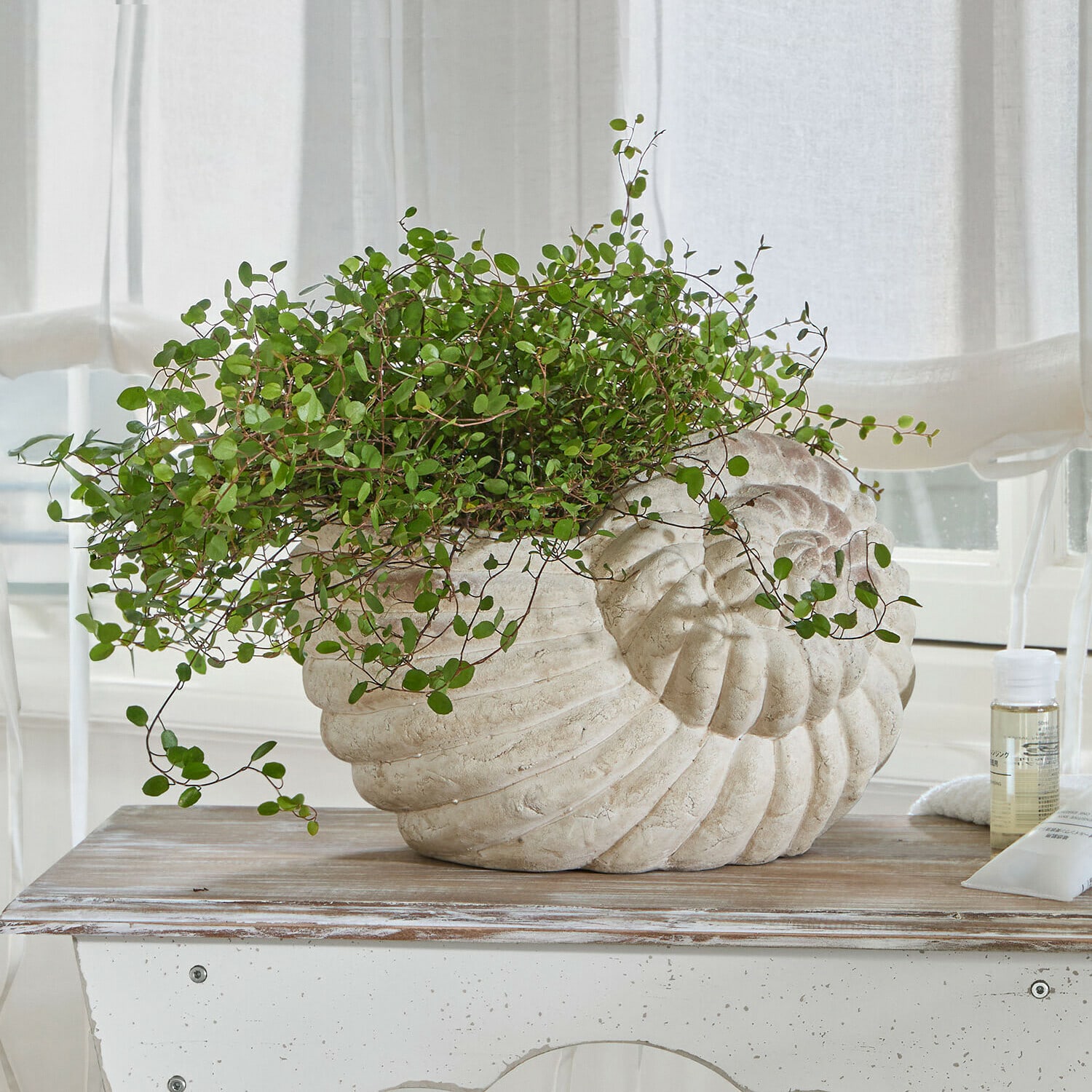 Übertöpfe im Vintage-Design – für ein grünes Paradies