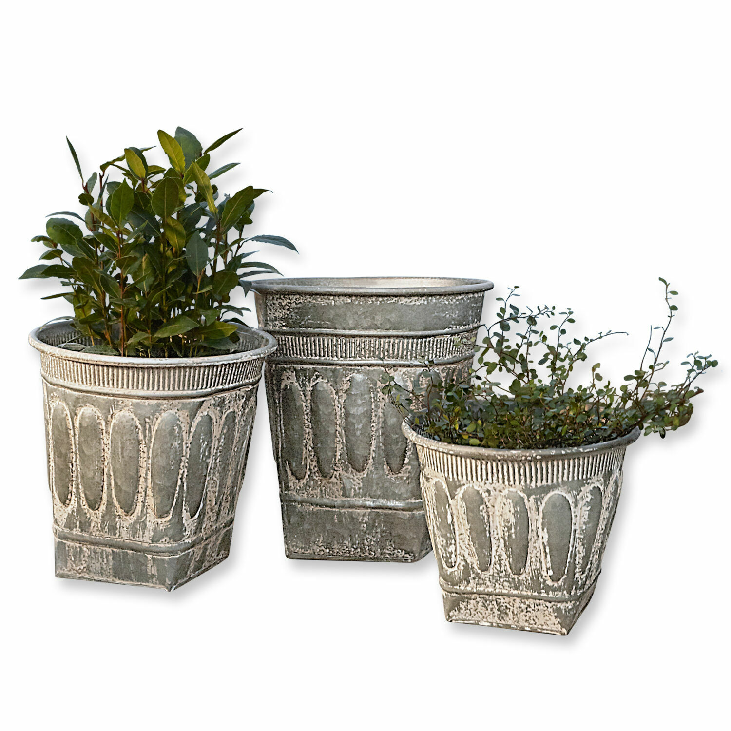 Übertopf 3er Set Bakersfield Set aus drei dekorativen grauen Metallblumentöpfen mit Pflanzen für Gartendekor