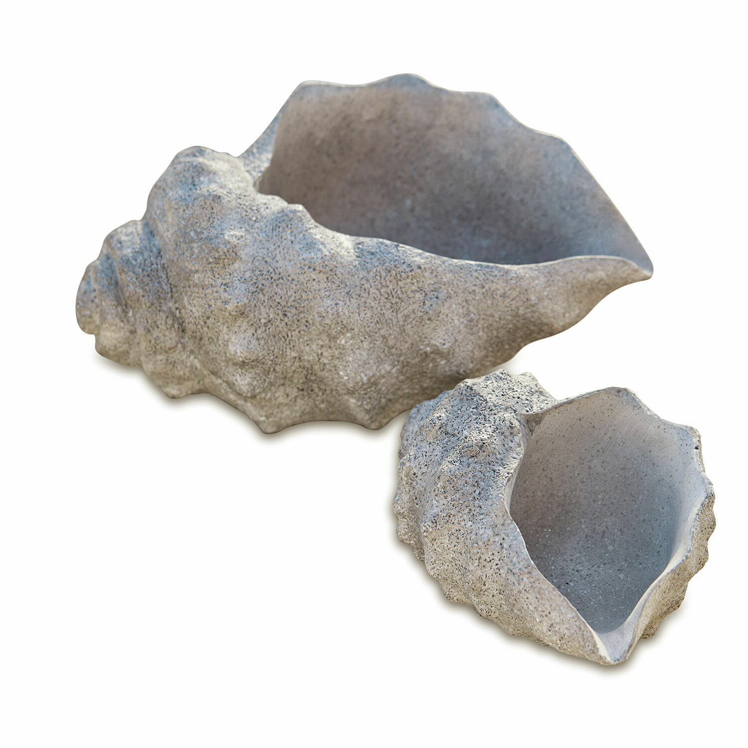 Dekorative Betontöpfe in Muschelform in Grau für Garten und Wohnraum
