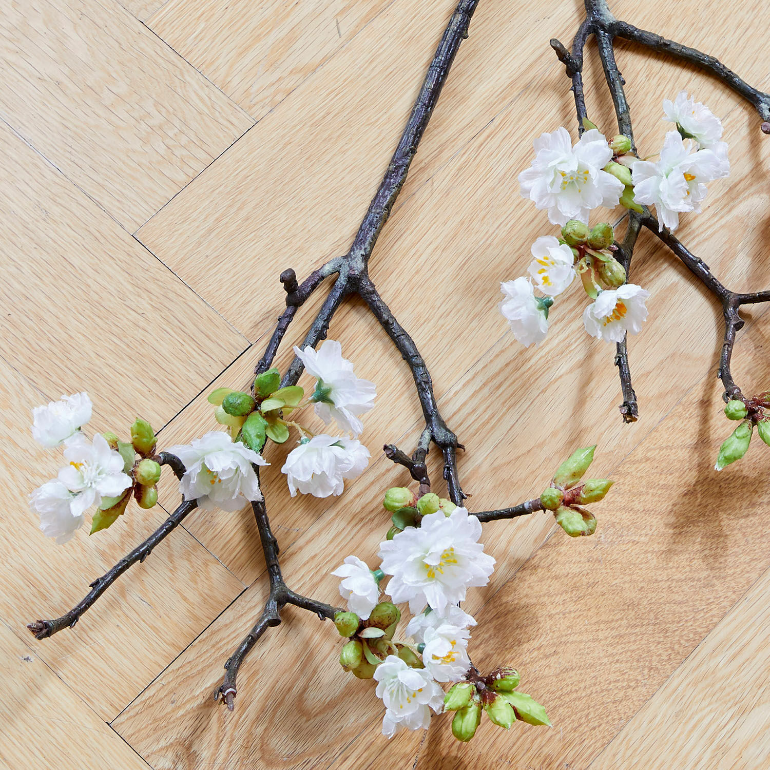 Zweige mit weißen Blüten auf hellem Holz, Frühlingsdekoration für Zuhause