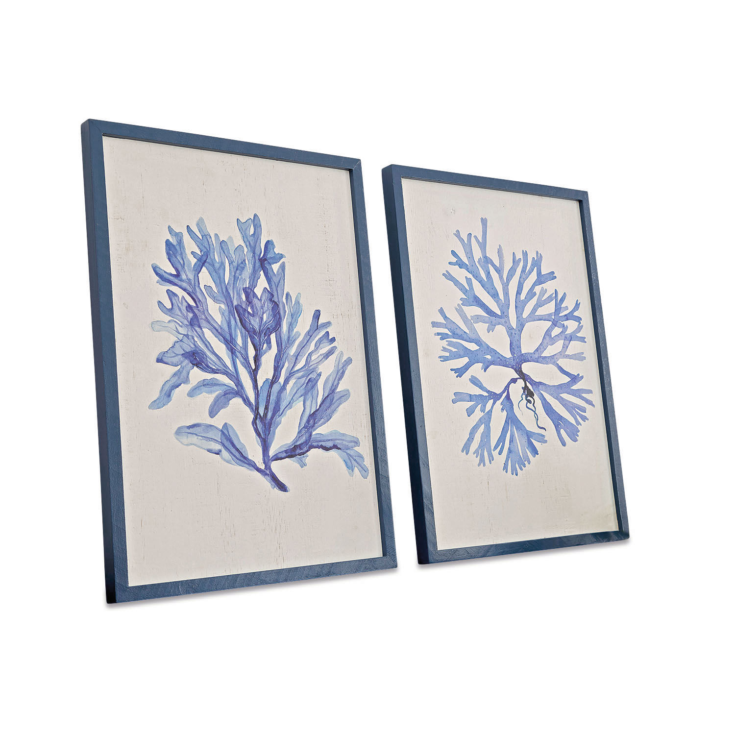 Set aus zwei Bildern mit blauen Korallenmotiven auf weißem Hintergrund in blauen Rahmen