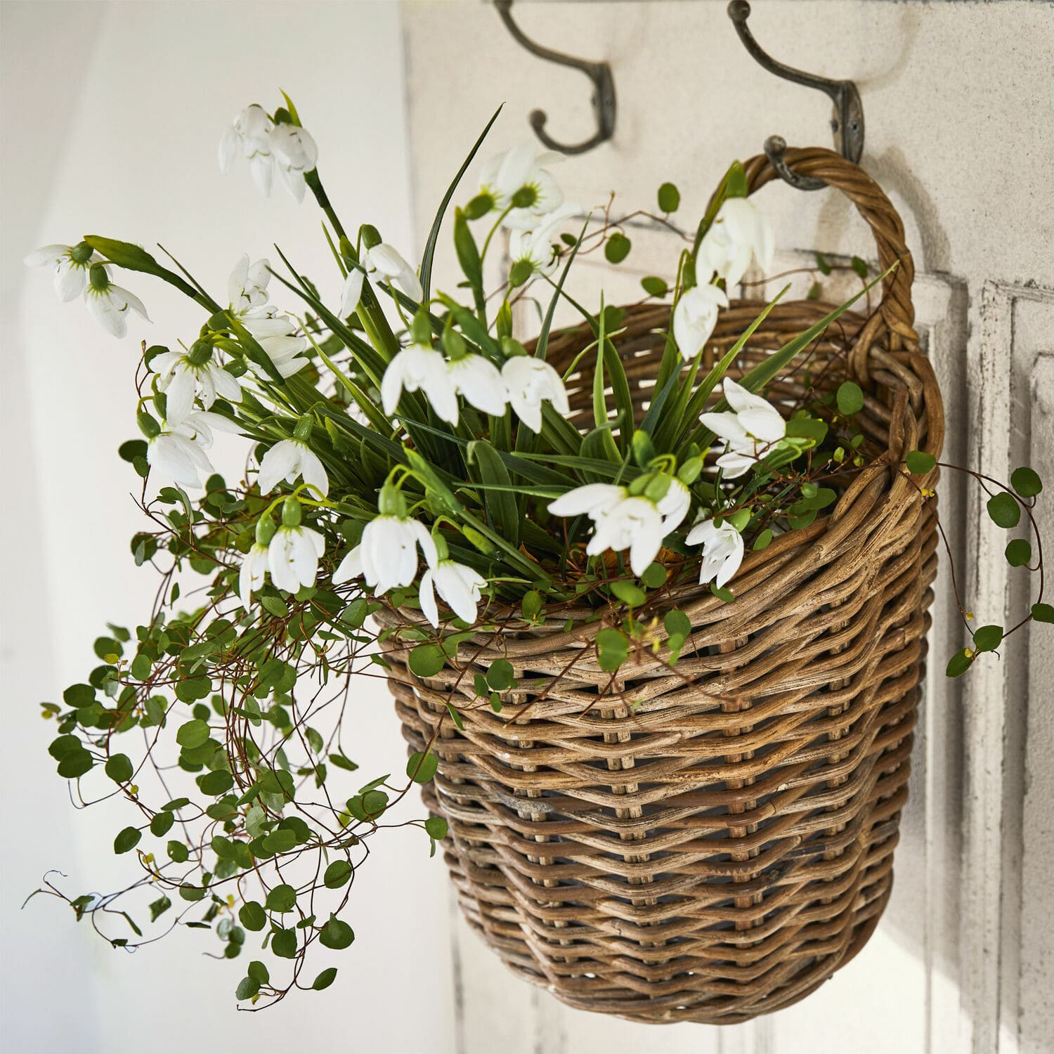Hängender Korb aus Weide mit weißen Blumen und grünen Blättern als Wohnaccessoire