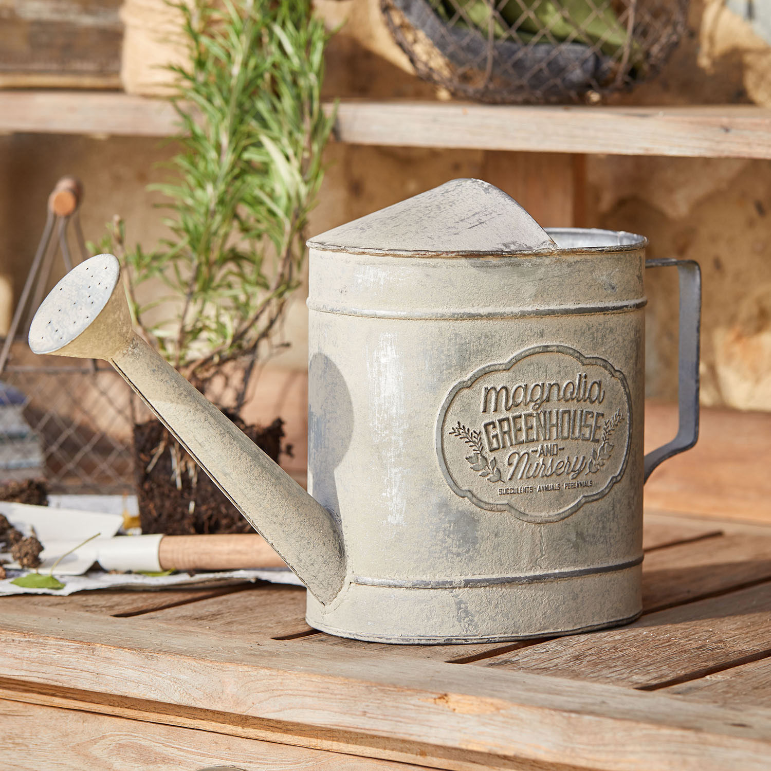 Vintage graue Metall-Gießkanne zum Bewässern von Pflanzen im Garten