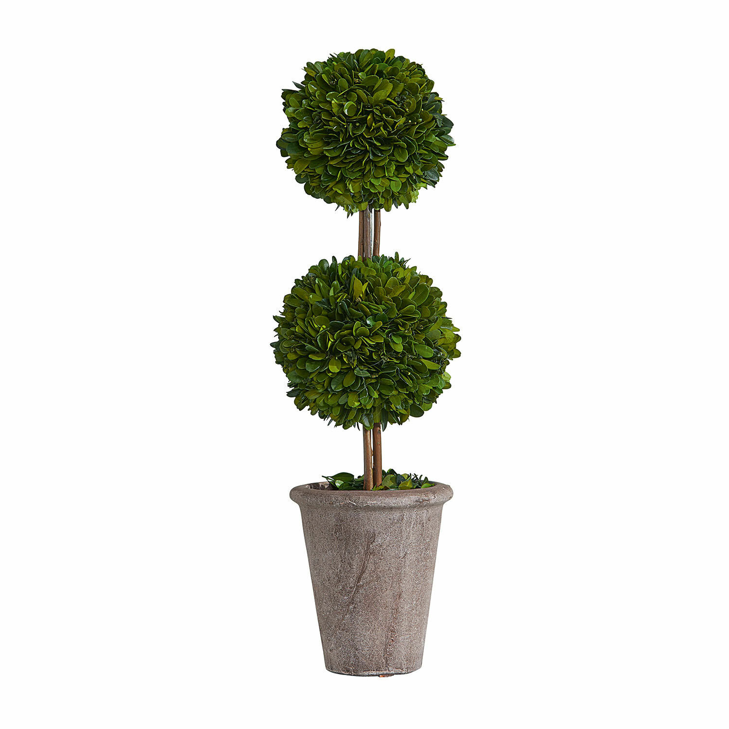 Deko-Baum Noisse Künstlicher Buchsbaum in grauem Steintopf als Dekoration für Innen- und Außenbereiche