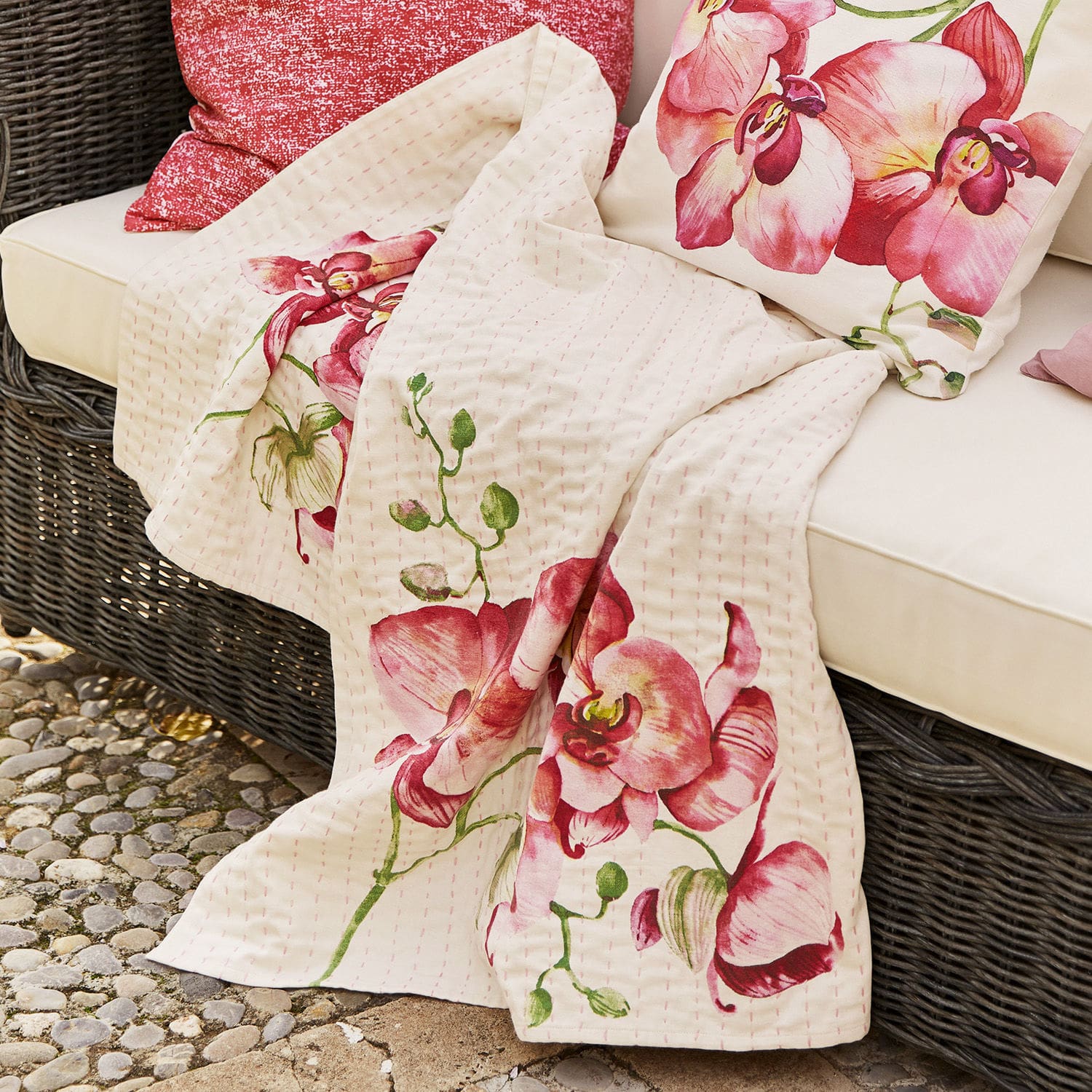 Plaid Orchid
