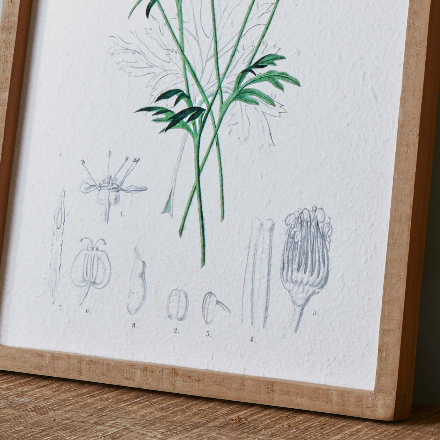 Botanische Zeichnung grüner Blätter auf Papier in Holzrahmen auf Holztisch