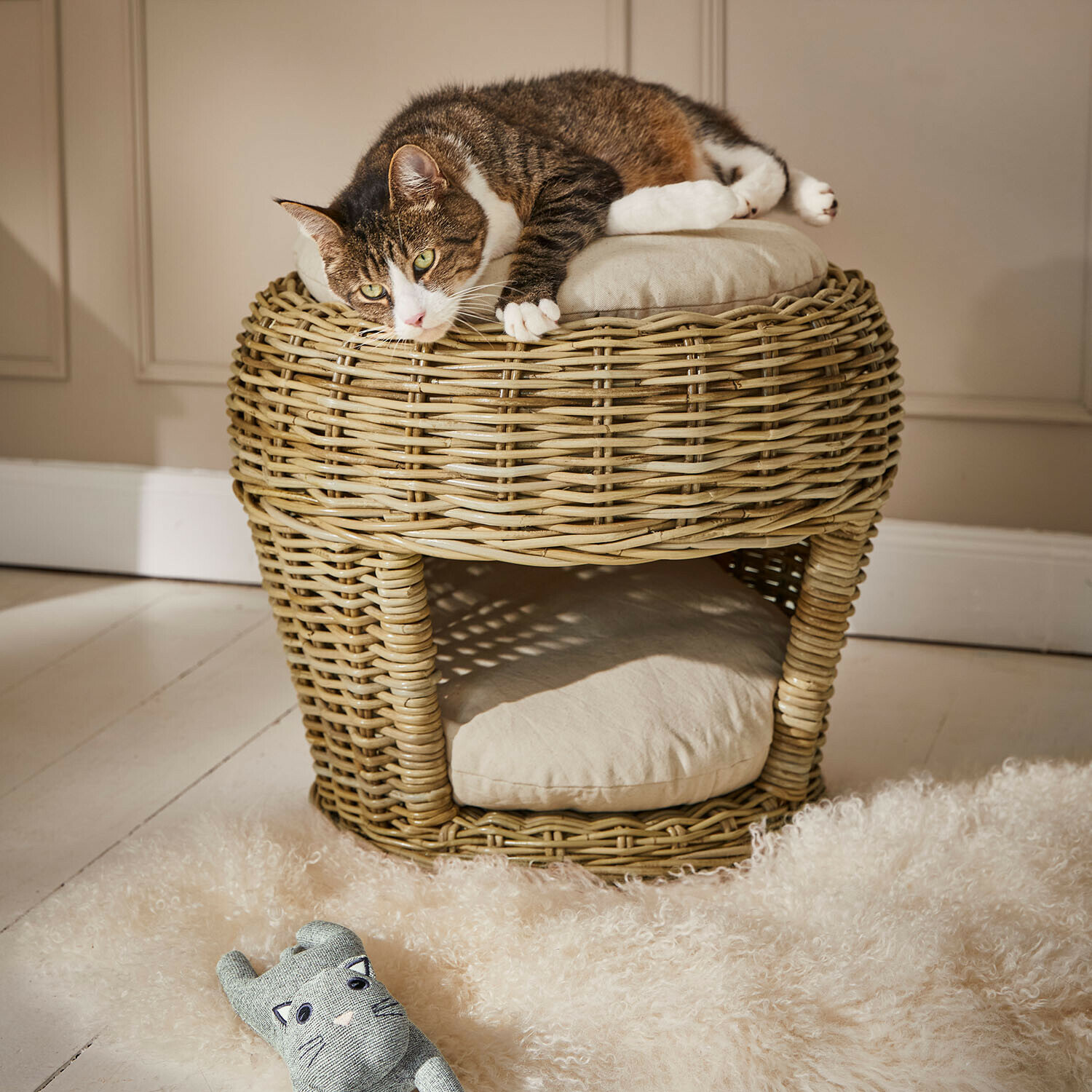 Haustierkorb Haverdon Runder Rattan-Hocker in Naturfarbe mit Kissen und liegender Katze oben im Wohnraum