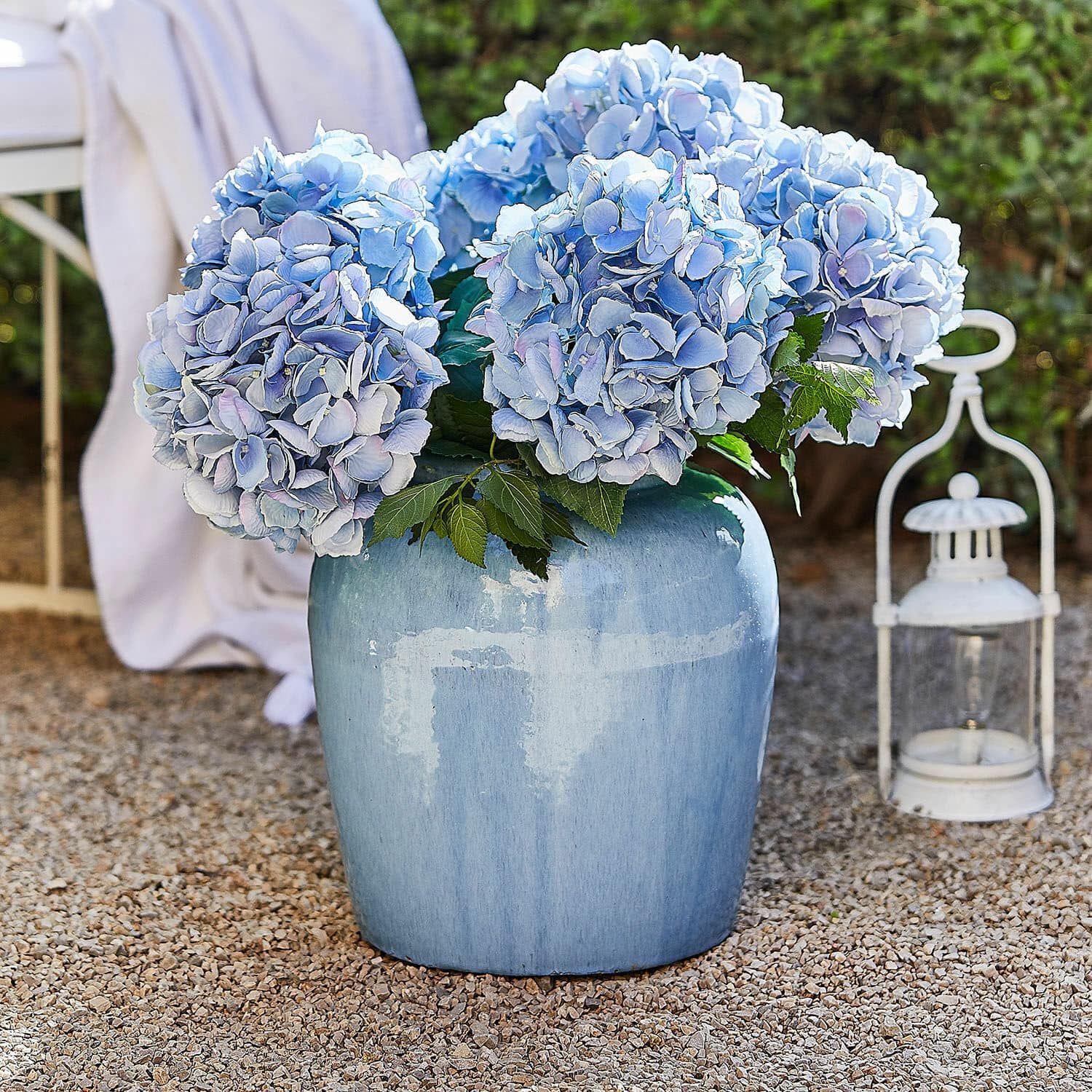 Vase Uxemir