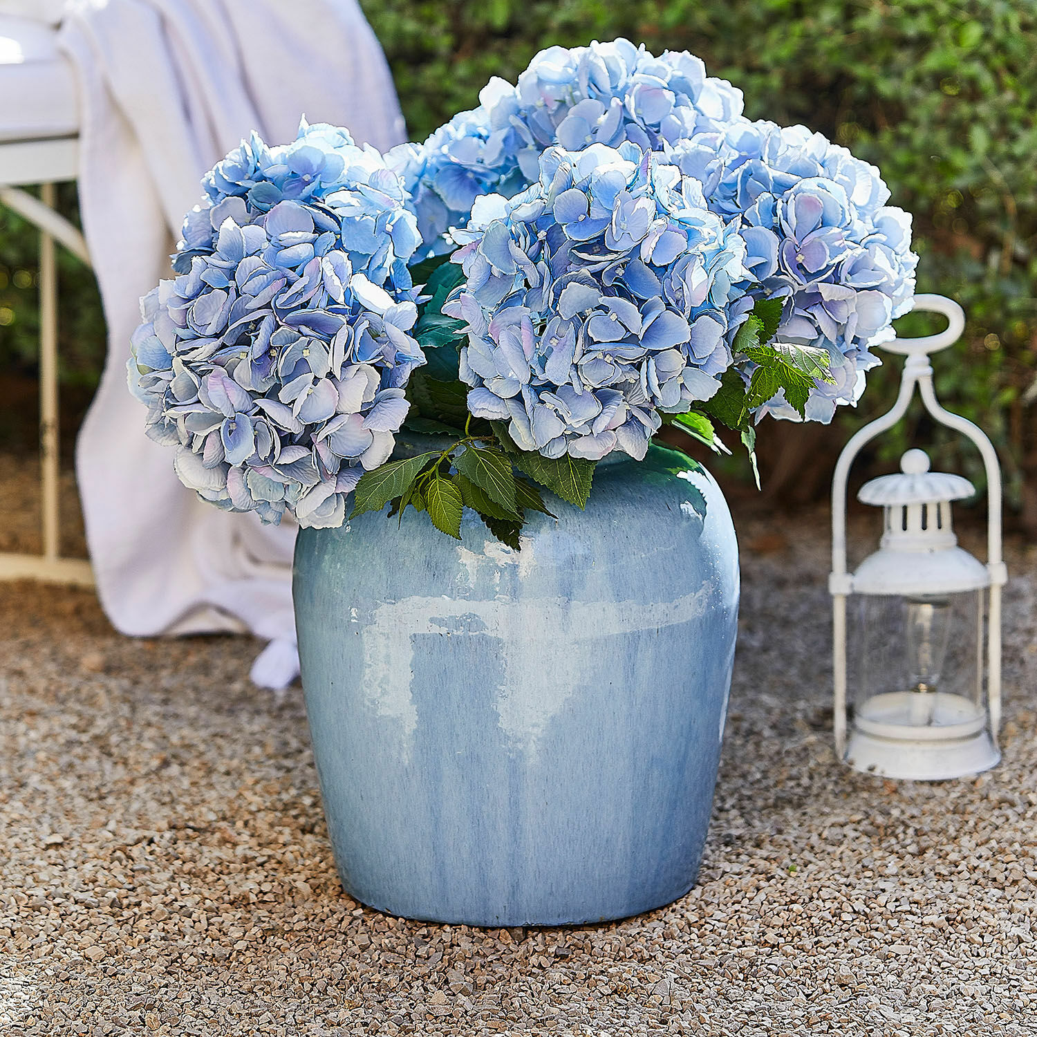Vase Uxemir Große blaue Keramikvase mit hellblauen Hortensien auf Kies im Außenbereich