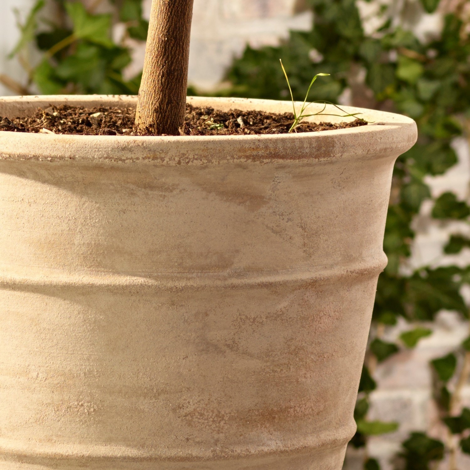 Großer Terrakotta-Blumentopf in Naturfarbe mit Baumstamm und Erde, ideal für Garten