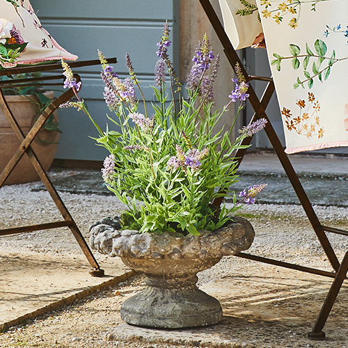 Dekorativer Steintopf mit Lavendel, rustikaler Gartenstil, natürliche Farben für Terrasse