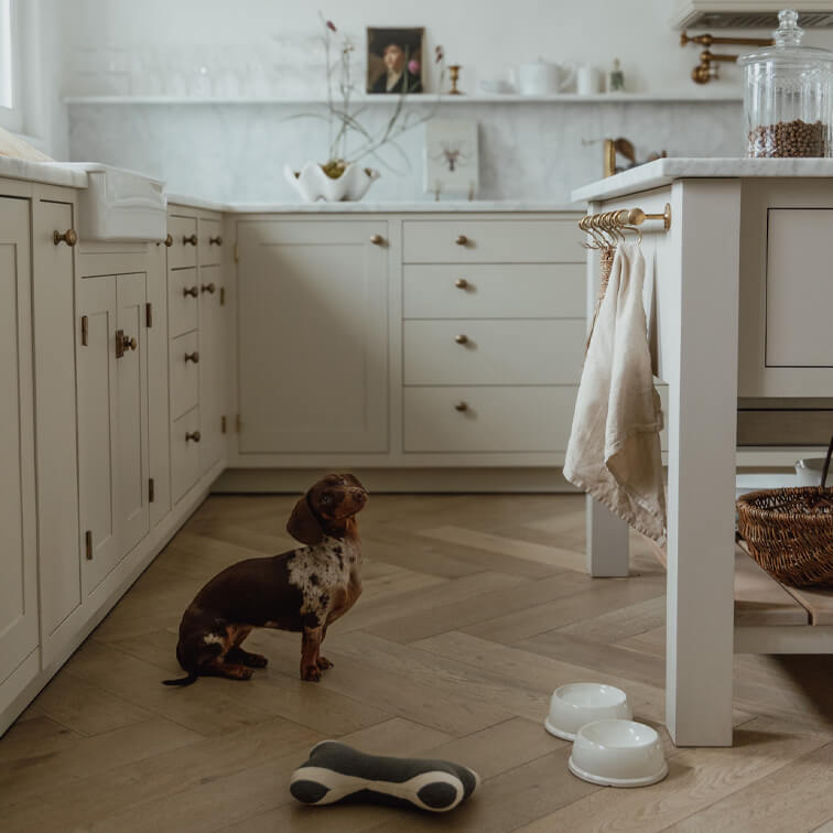 Vintage-Küche mit weißen Schränken und Holzboden, kleiner Dackel sitzt in der Mitte