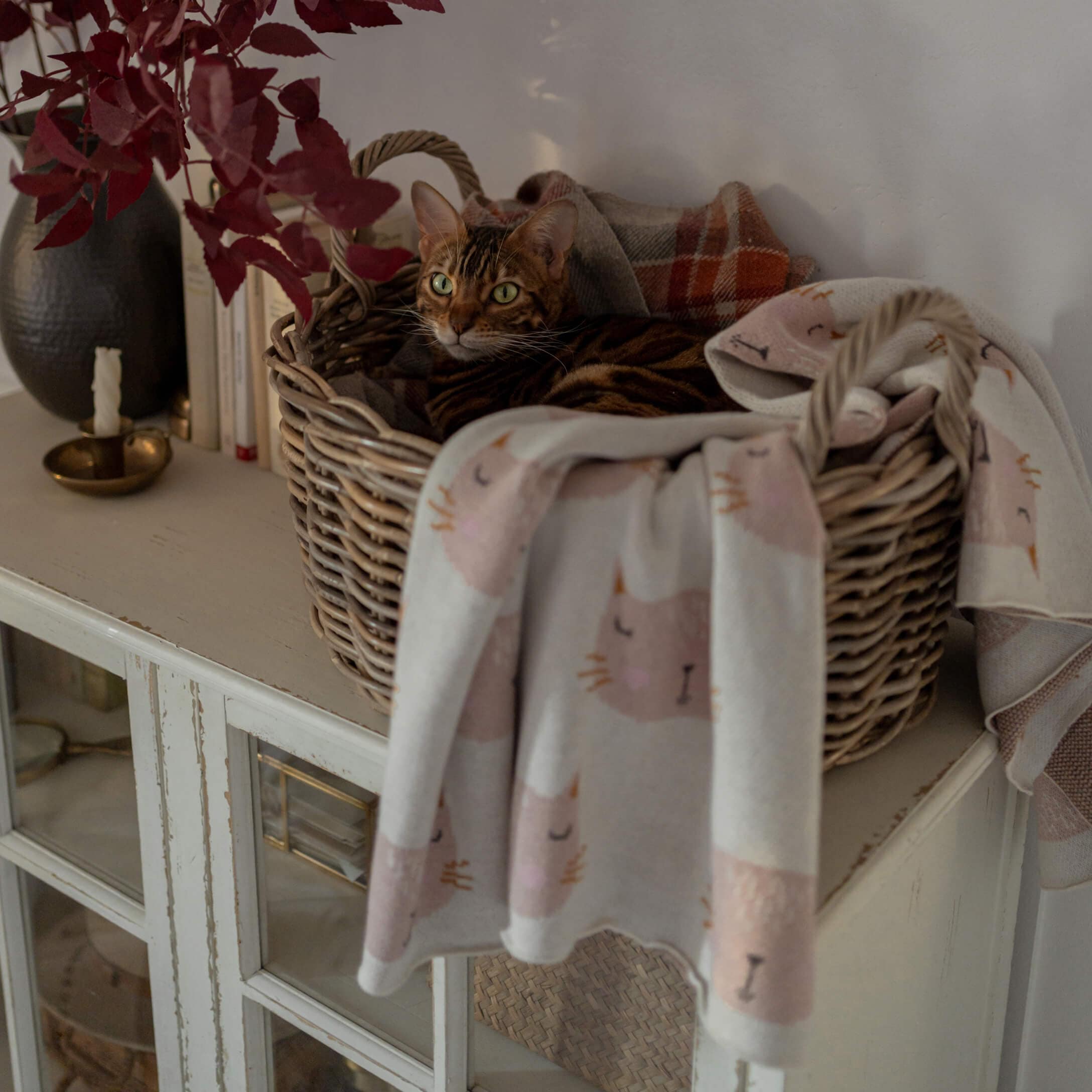Braune Katze in einem Weidenkorb mit weicher Decke mit Katzenmuster, gemütliche Wohnatmosphäre