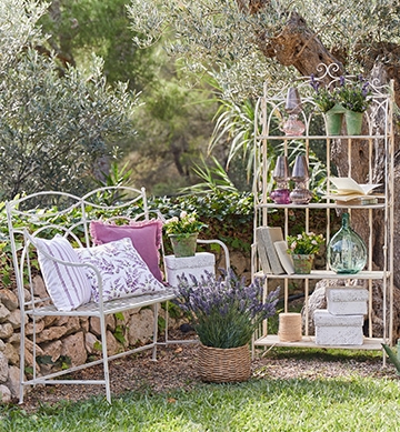 Lavender Dream