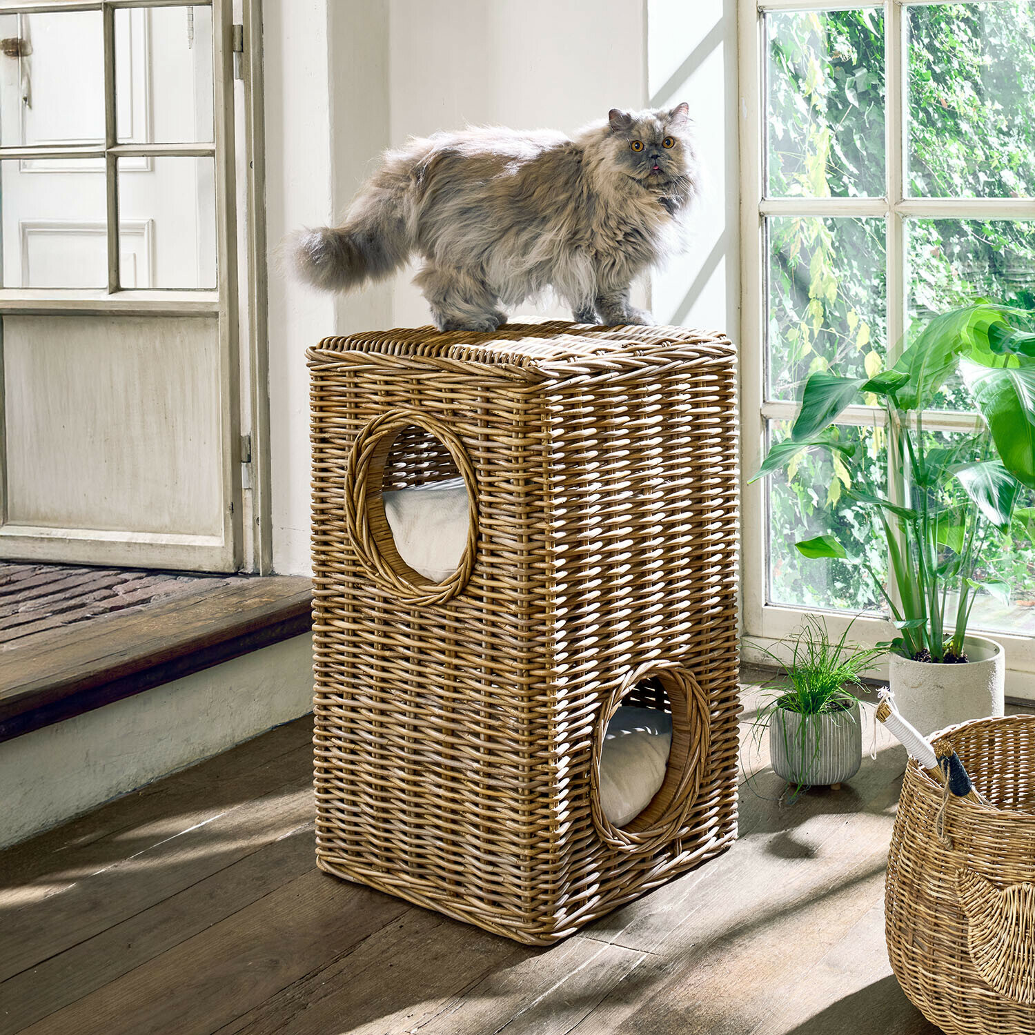 Zweistöckiges Katzenhaus aus natürlichem Rattan mit Kissen, graue Langhaarkatze oben drauf