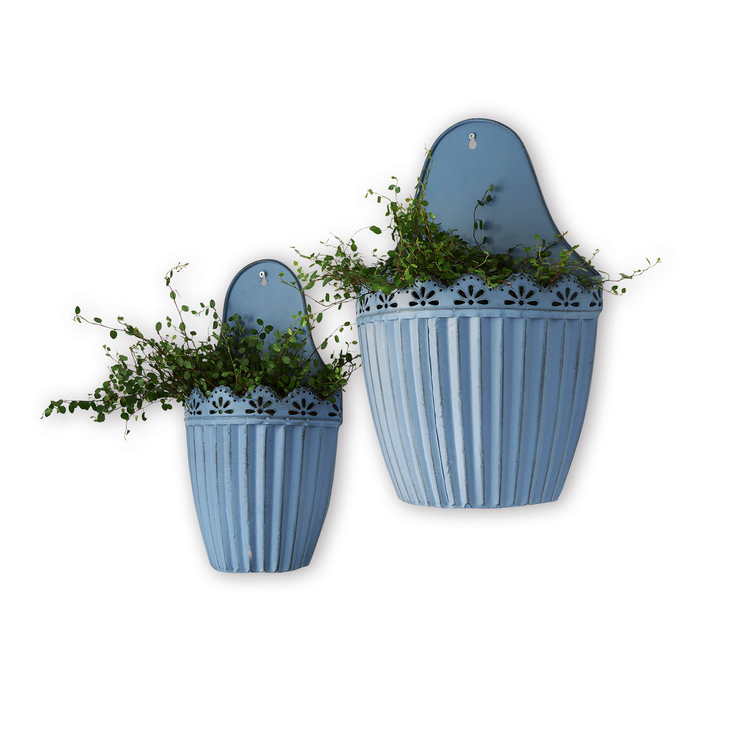 Set aus zwei blauen Metall-Wandblumentöpfen mit Pflanzen, Gartendekoration