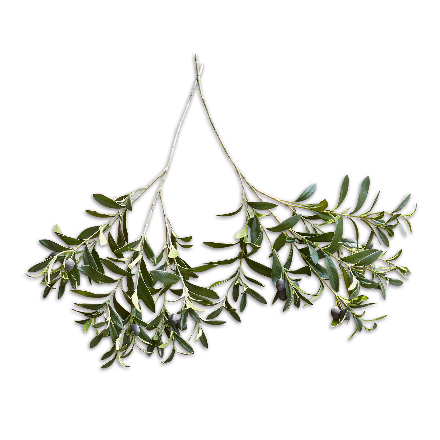 Deko-Olivenzweig 2er Set Olives Olivenzweige mit grünen Blättern und schwarzen Oliven auf weißem Hintergrund, natürliche Dekoration