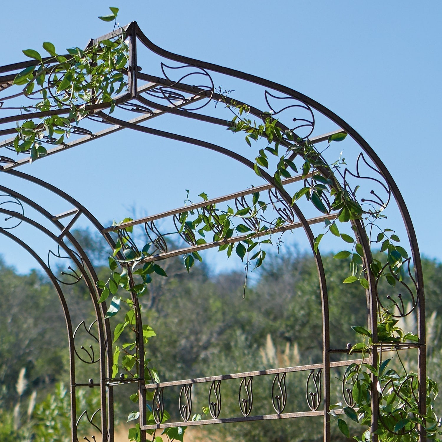 Metall-Gartenpergola mit dekorativen Blättern und Kletterpflanzen vor blauem Himmel