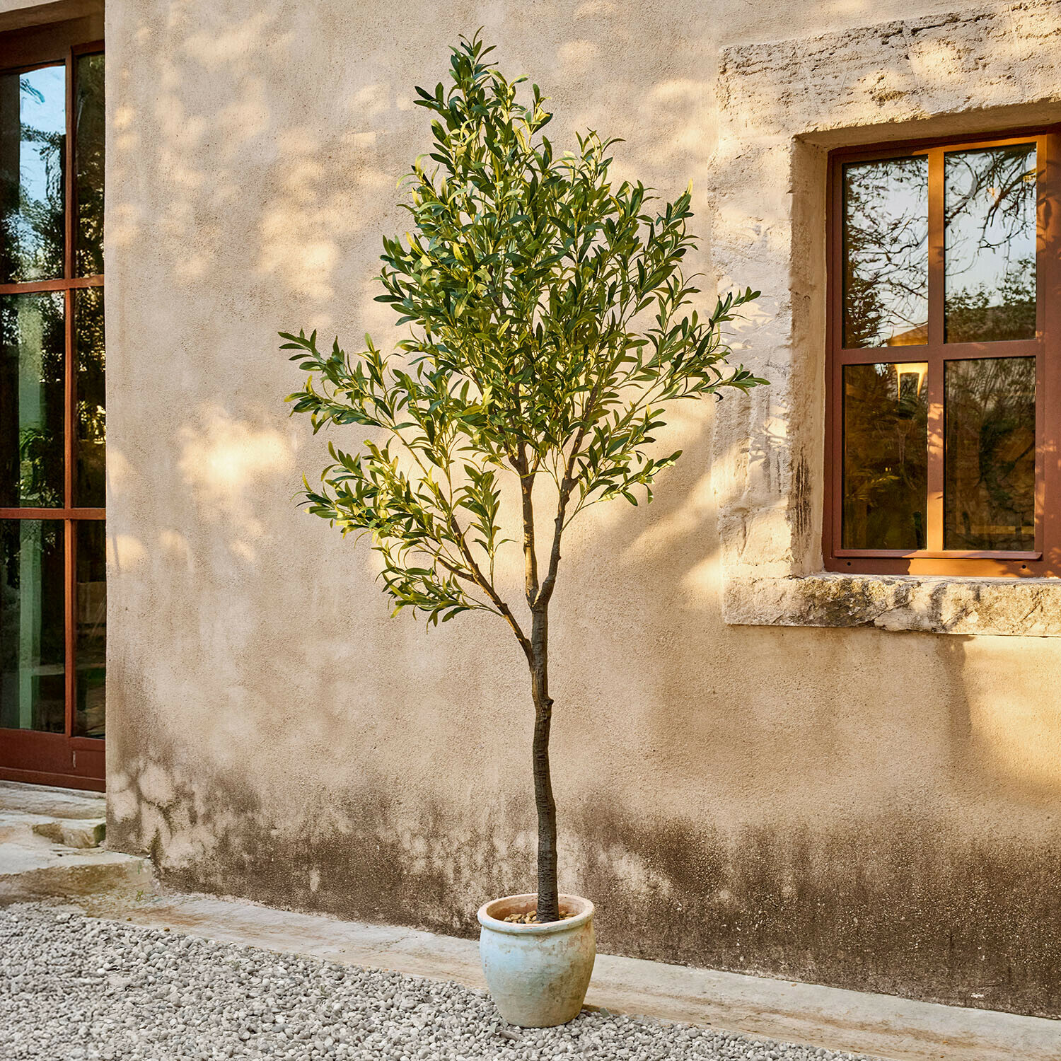 Deko-Olivenbaum Faelira Olivenbaum in hellbeigem Topf vor Wand mit Fenster, Pflanze für Garten und Terrasse