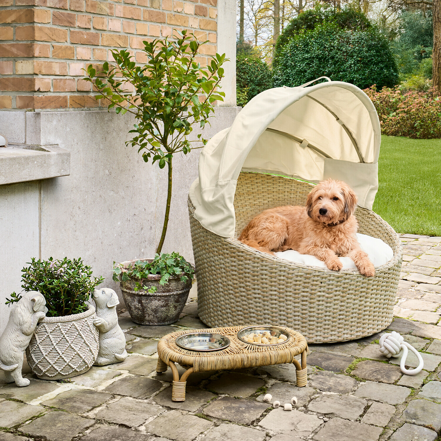 Beiges Rattan-Hundebett mit weißem Kissen und Sonnendach, hellbrauner Hund liegt im Garten