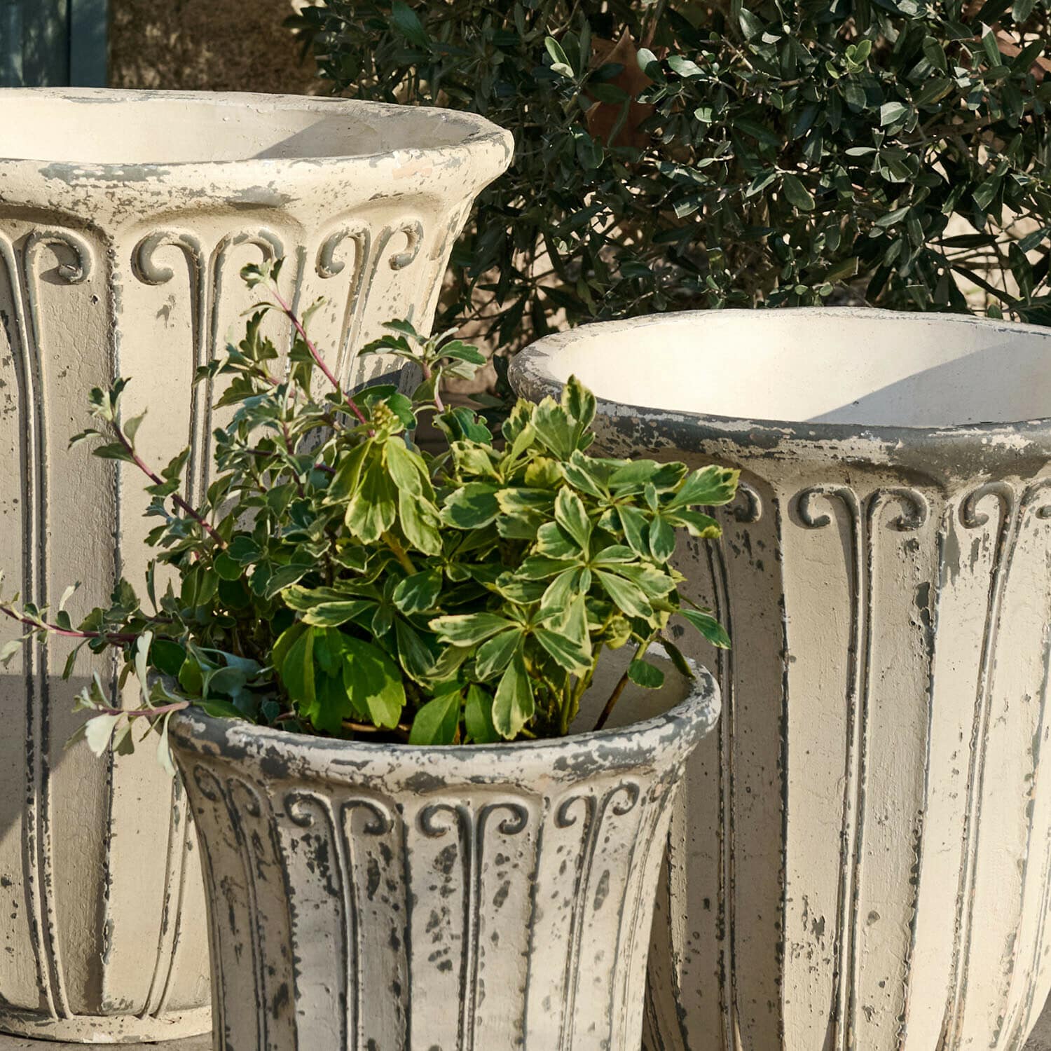 Übertopf 3er Set Méravon