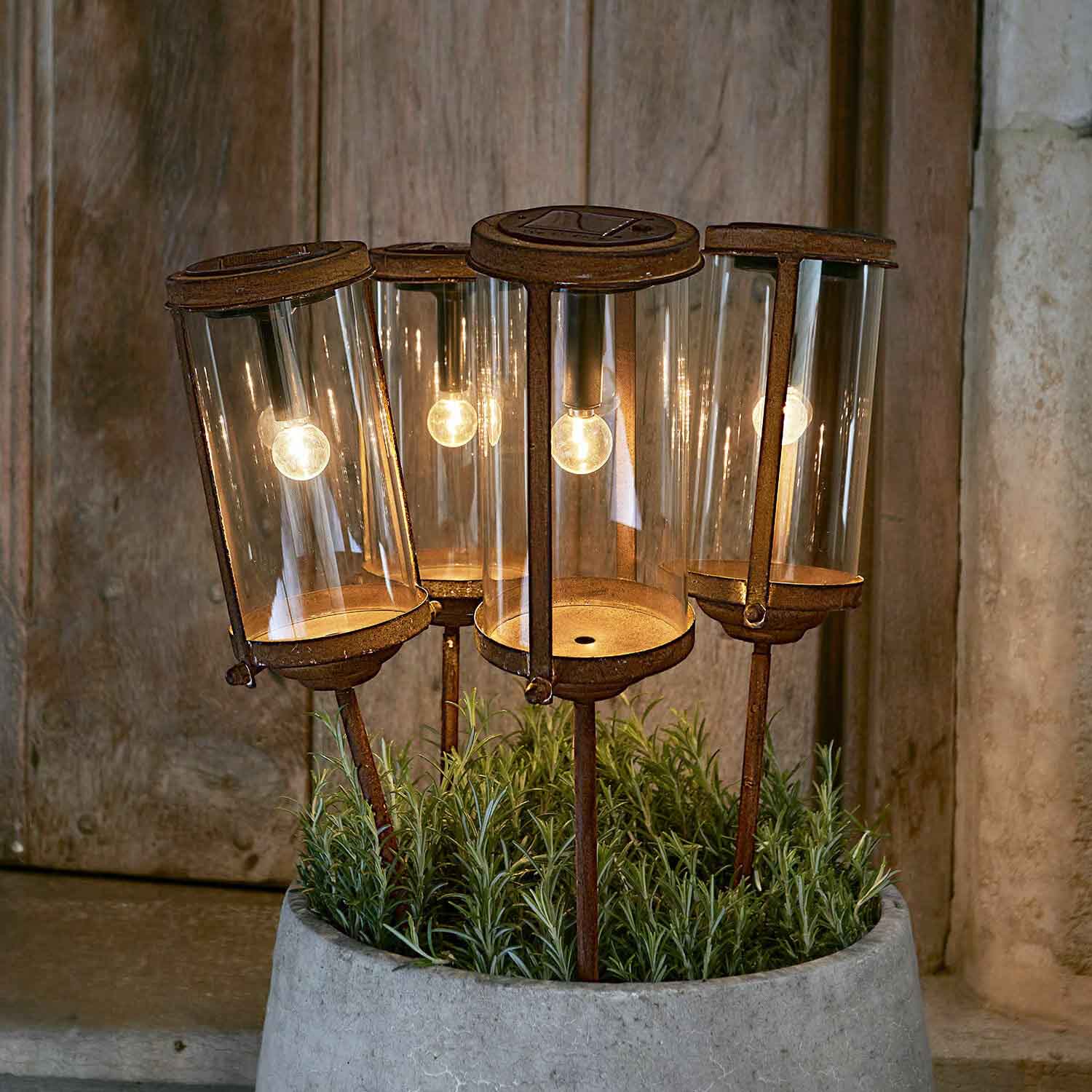 Vier rostige Gartenlampen mit Glasgehäuse und Metallständern in einem Pflanzkübel mit Grünpflanzen