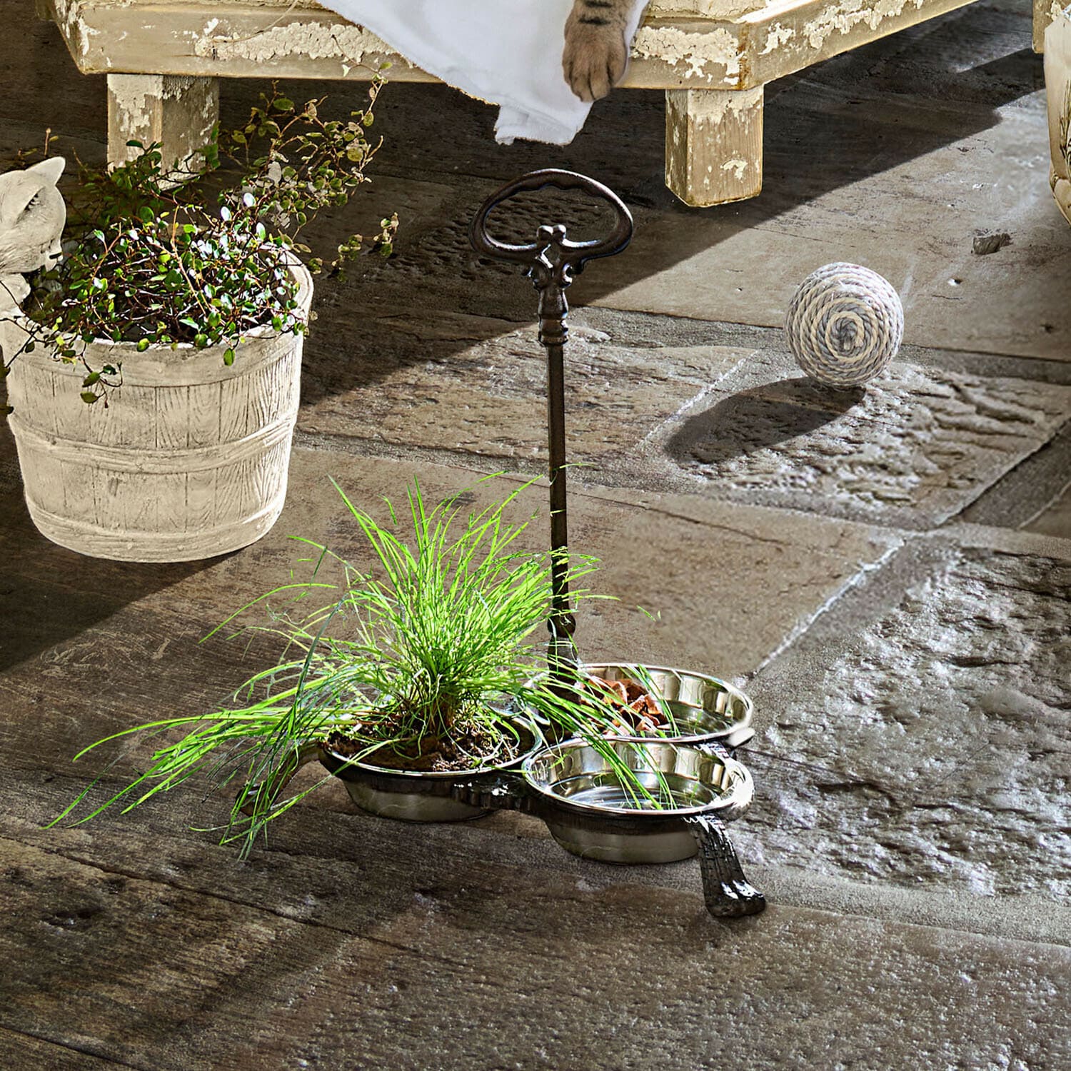 Doppelnapf aus Metall mit Griff in Silber auf Steinboden, daneben grüne Pflanze