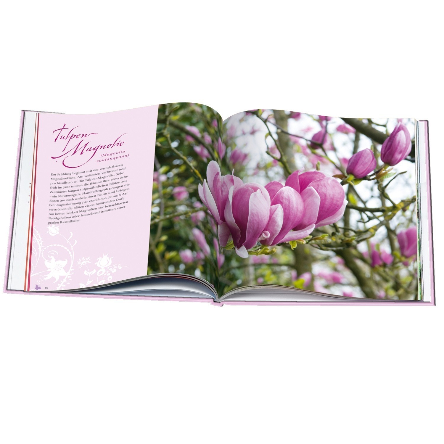 Buch Frühlingspoesie
