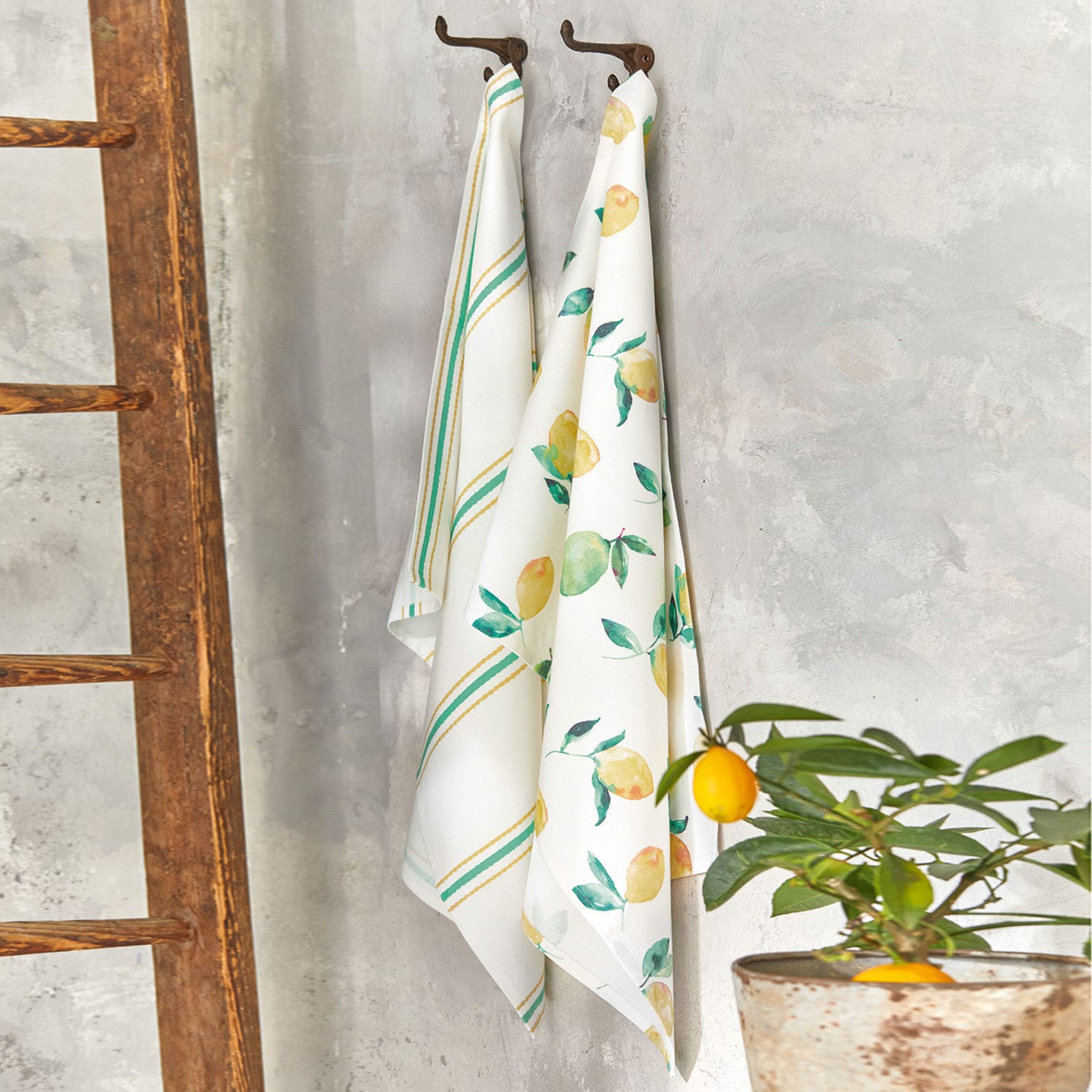Geschirrtuch 2er Set Citrus