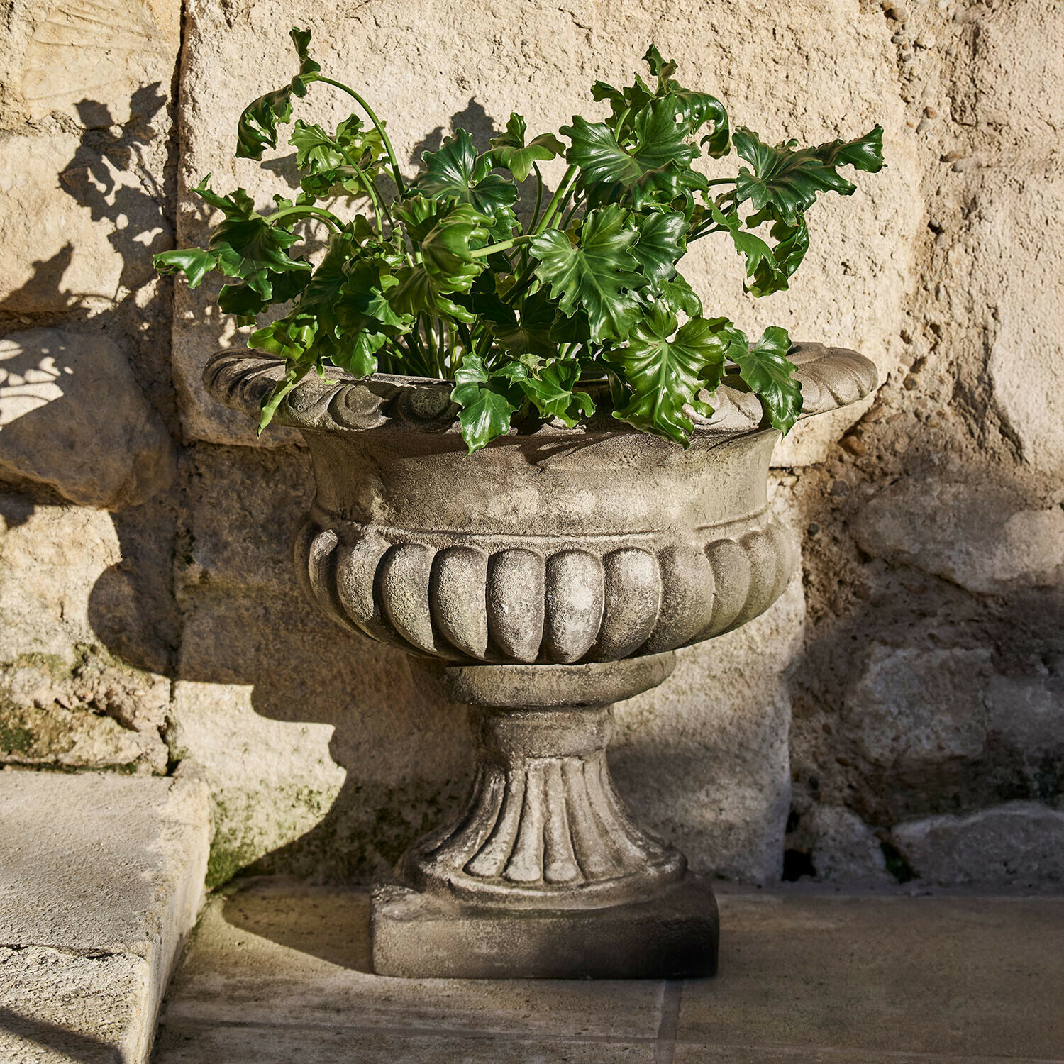 Dekorativer grauer Steintopf mit grünen Blättern vor einer Steinmauer