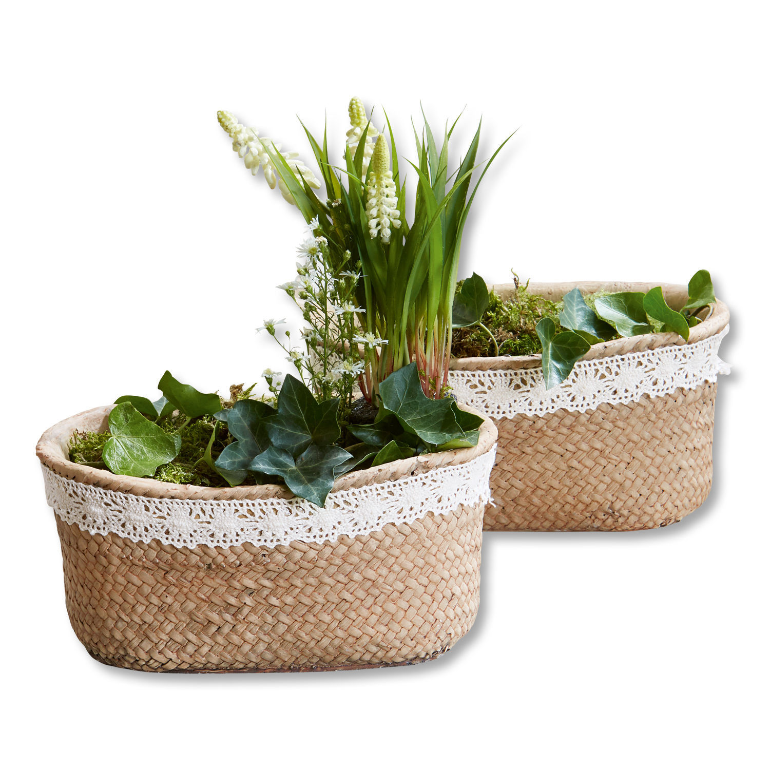 Zwei geflochtene Seegras-Körbe mit weißer Spitze, gefüllt mit grünen Pflanzen und weißen Blüten.