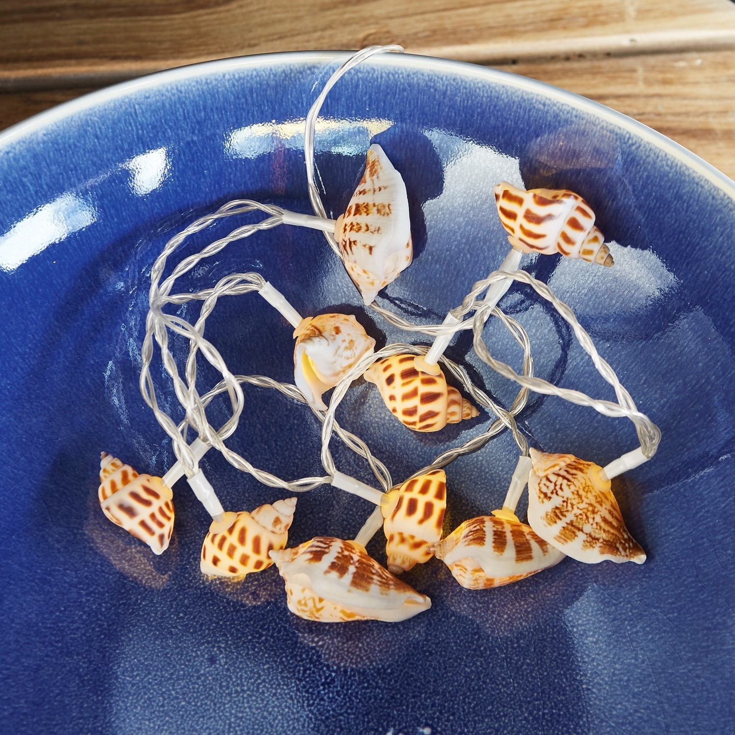 Lichterkette Muscheln