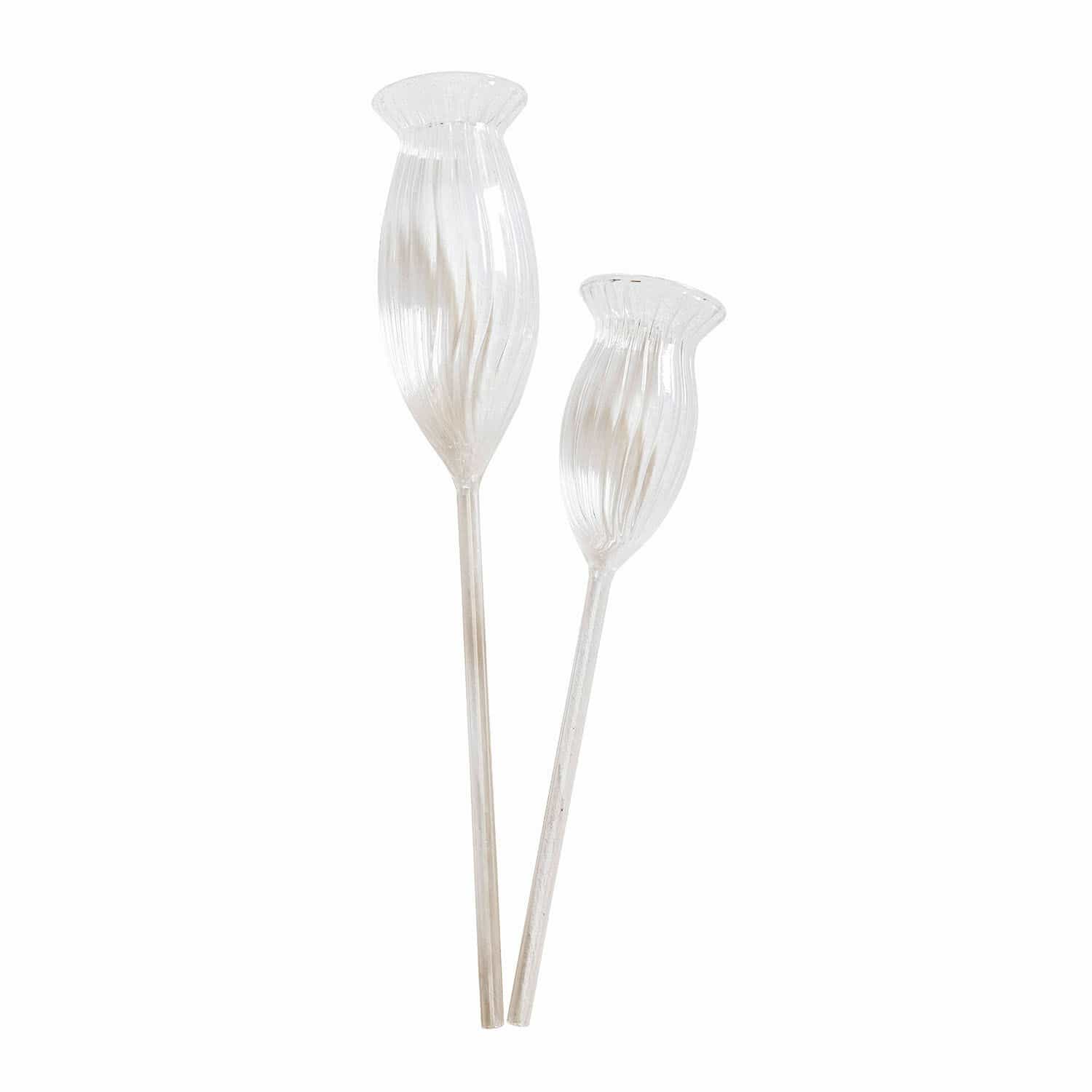 Bewässerungshilfe 2er Set Radisa Dekorative Glasblumen in transparentem Design für Wohnraumgestaltung und Deko