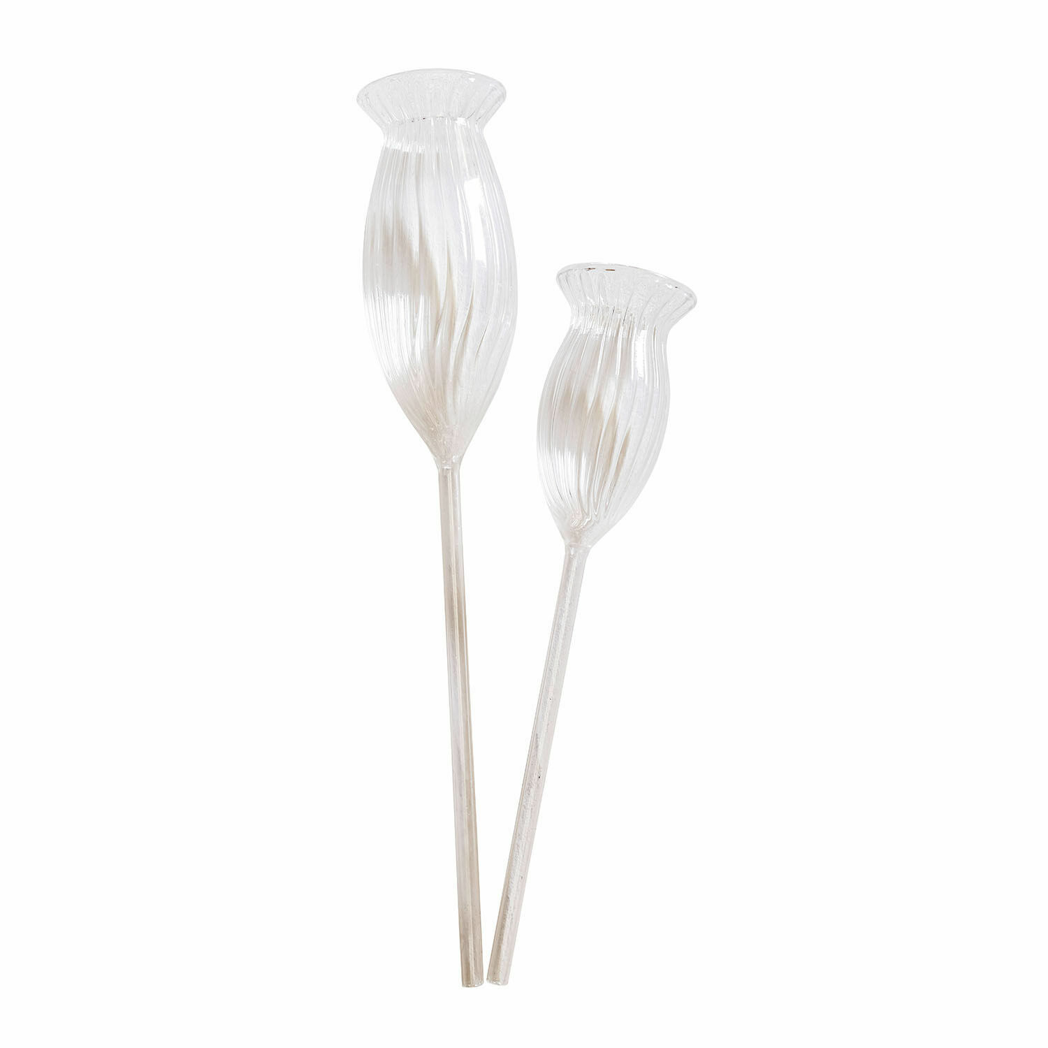 Bewässerungshilfe 2er Set Radisa Dekorative Glasblumen in transparentem Design für Wohnraumgestaltung und Deko