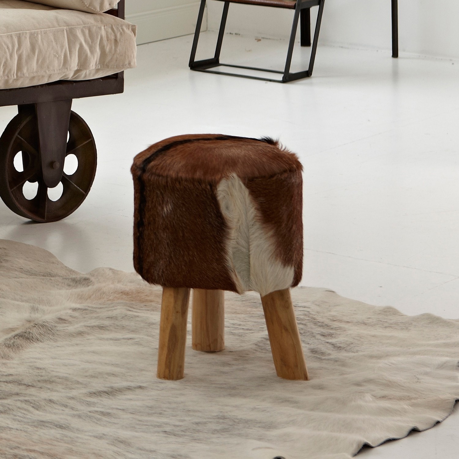 Hocker Shannon