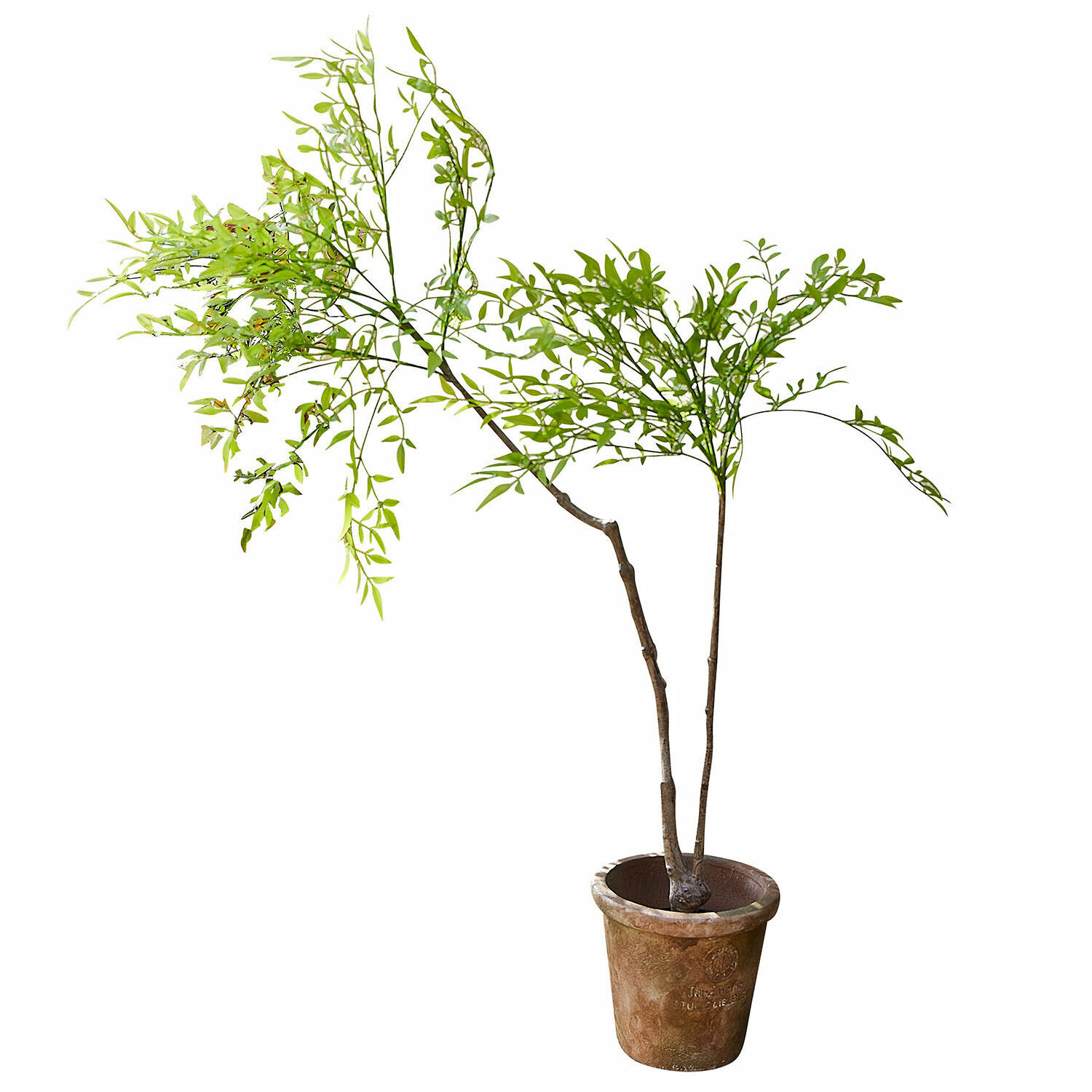 Deko-Topfpflanze 2.Wahl Avenelle Künstlicher Baum mit grünen Blättern in braunem Topf zur Wohn- und Gartendekoration