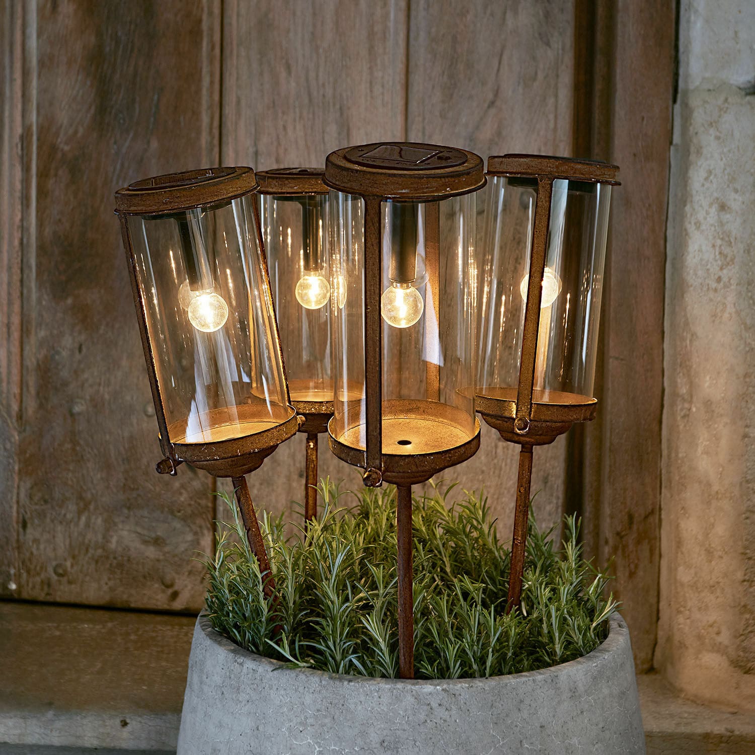 Solar-Laterne Mynesto Vier rostige Gartenlampen mit Glasgehäuse und warmem LED-Licht in einem Betontopf arrangiert