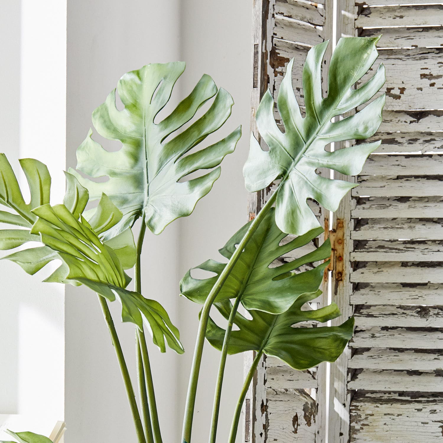 Dekopflanze Monstera