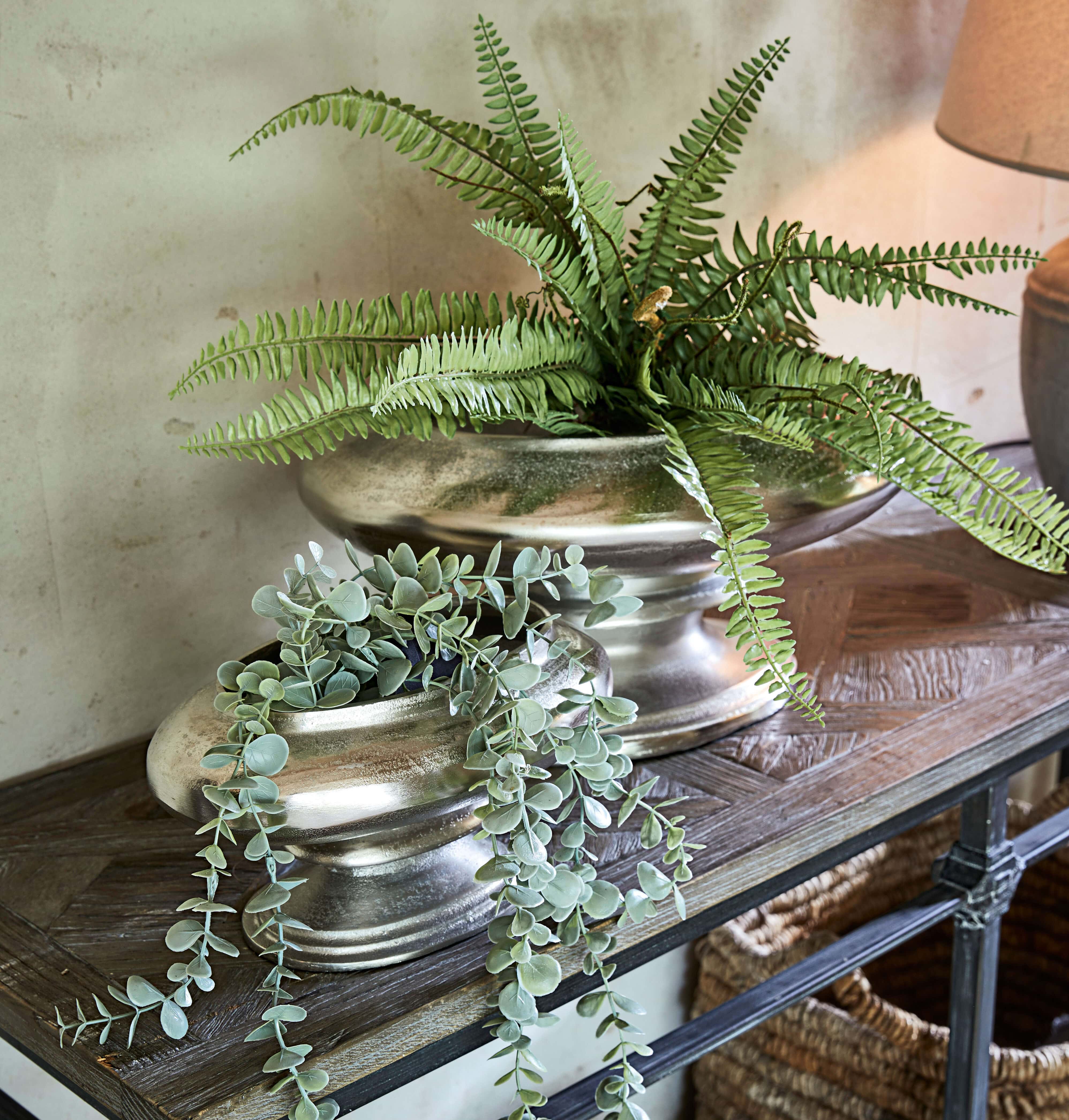 Dekorative silberne Aluminiumschalen mit grünen Pflanzen auf Holztisch im Wohnzimmer