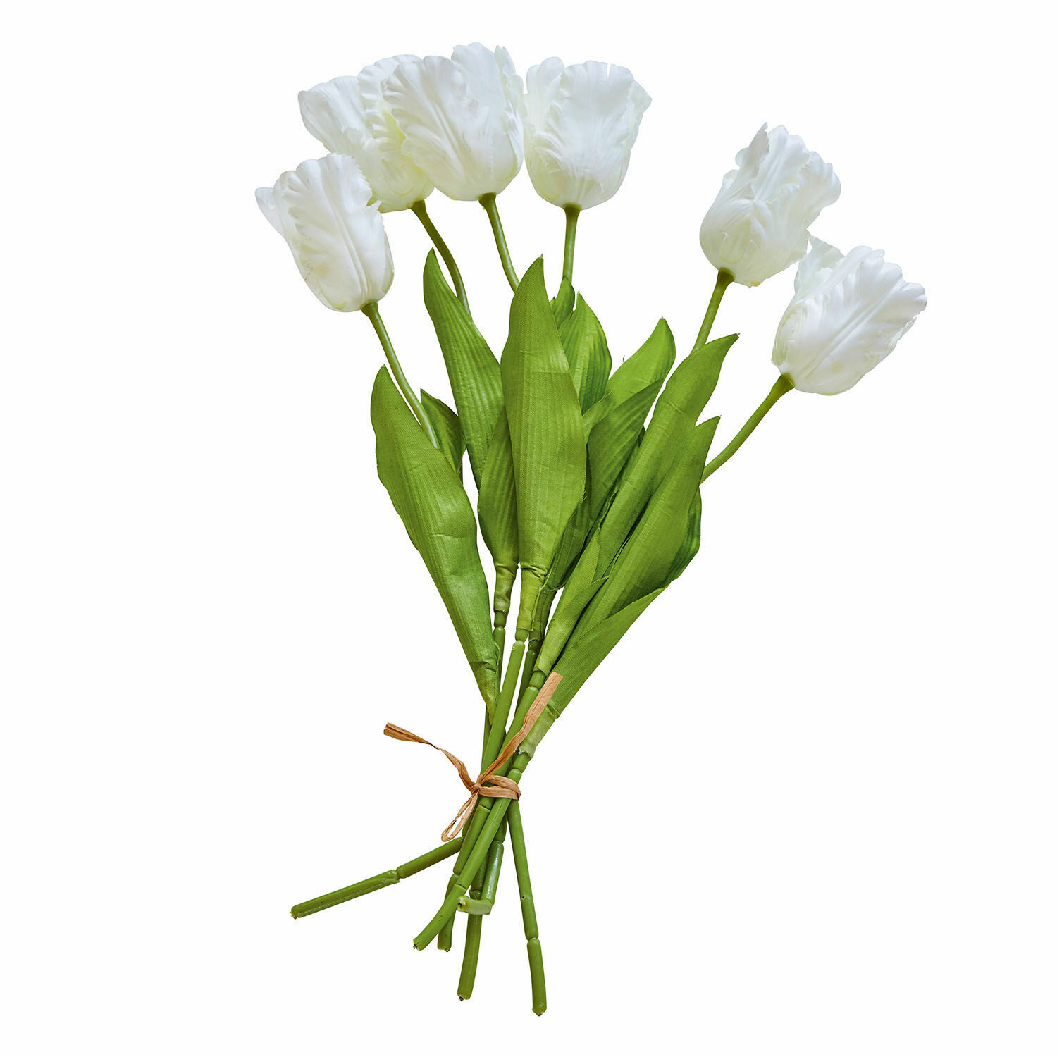 weiß/grün weiß/grün