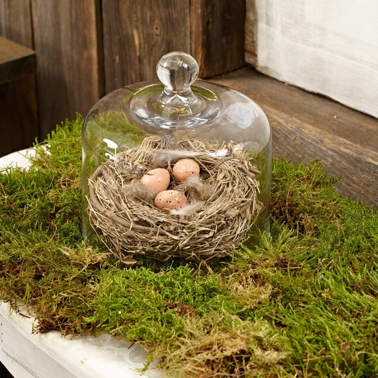 Nest Bird´s Home