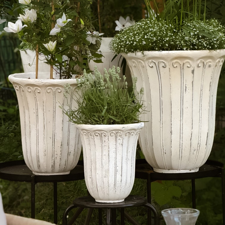 Drei weiße Pflanzgefäße aus Stein mit dekorativem Muster, bepflanzt mit Gartenpflanzen