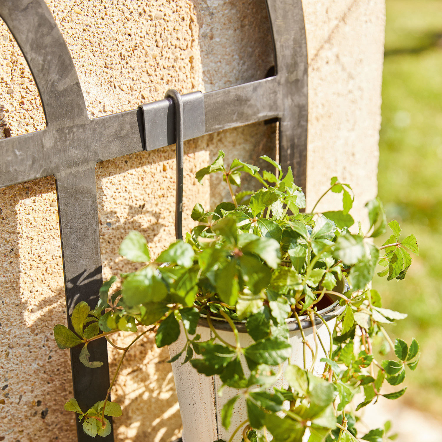 Schwarzes Metall-Wandgitter mit weißem Blumentopf und grüner Pflanze im Sonnenlicht