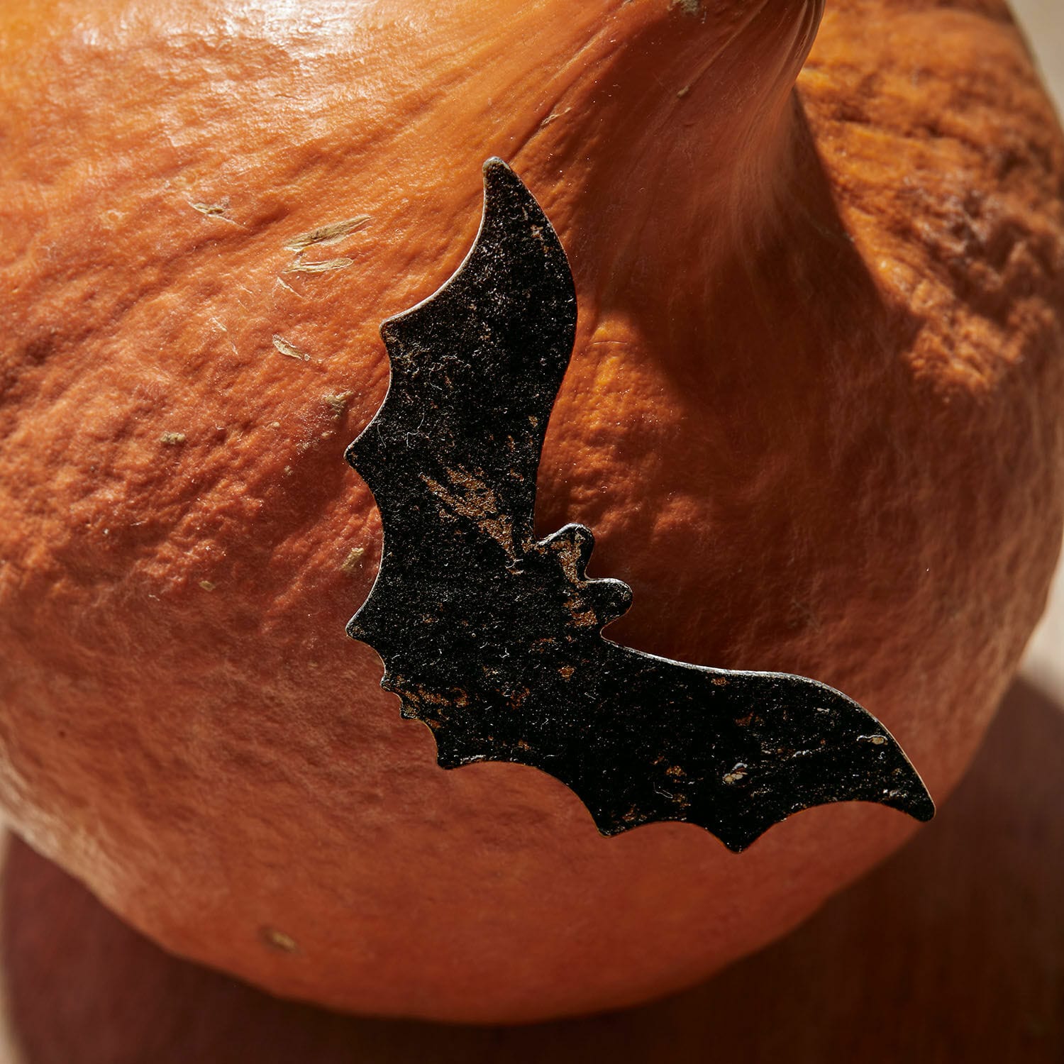 Schwarze Metall-Dekoration in Fledermausform auf orangefarbener Kürbisoberfläche, Halloween-Deko