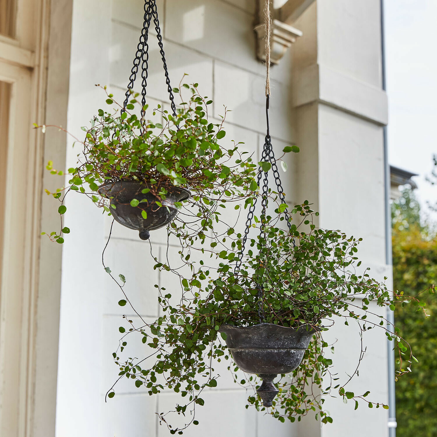 Hängetopf 2er Set Trelonne Hängende Metallpflanzgefäße im Vintage-Stil mit grünen Pflanzen, Gartendeko und Terrassenzubehör