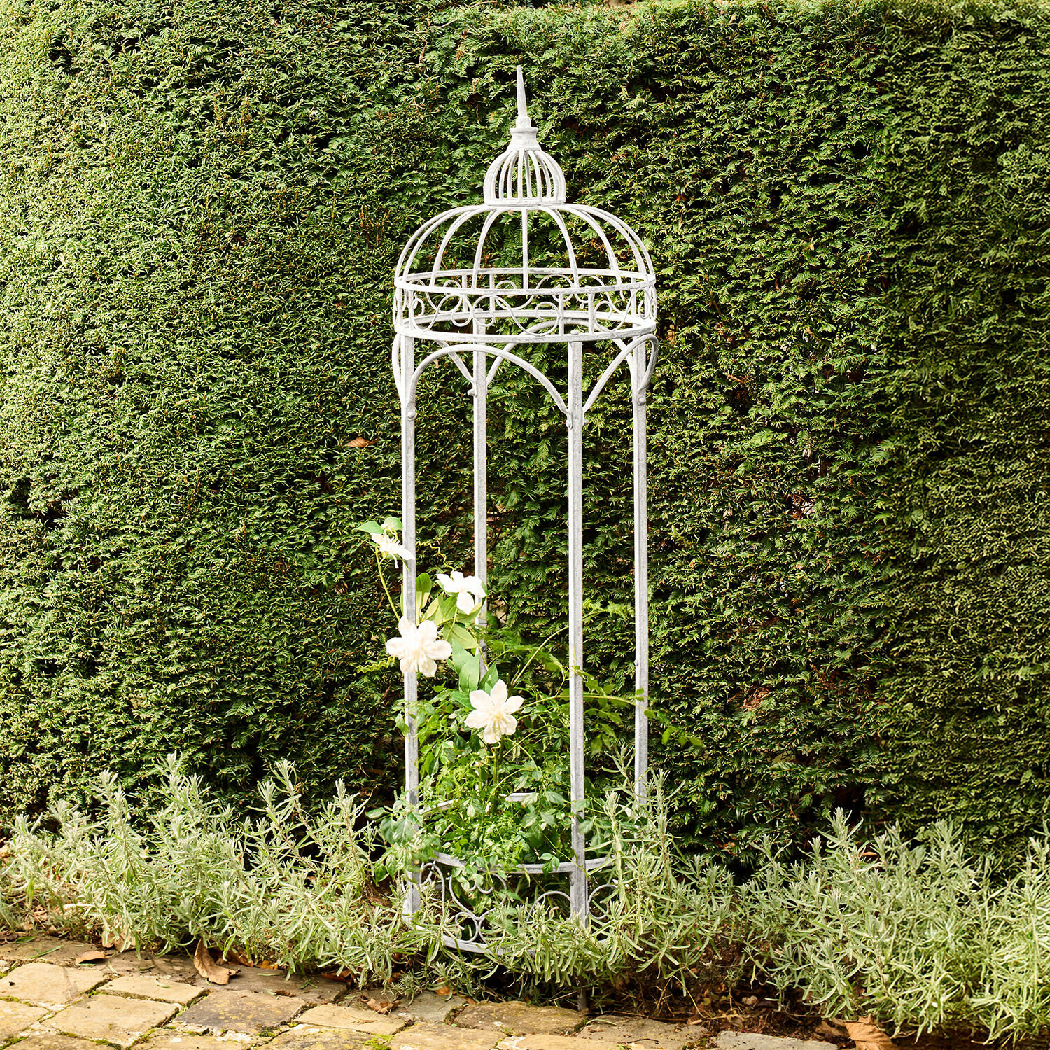 Weisse Metall-Gartenlaube mit dekorativem Muster, die Kletterpflanzen vor einer grünen Hecke stützt