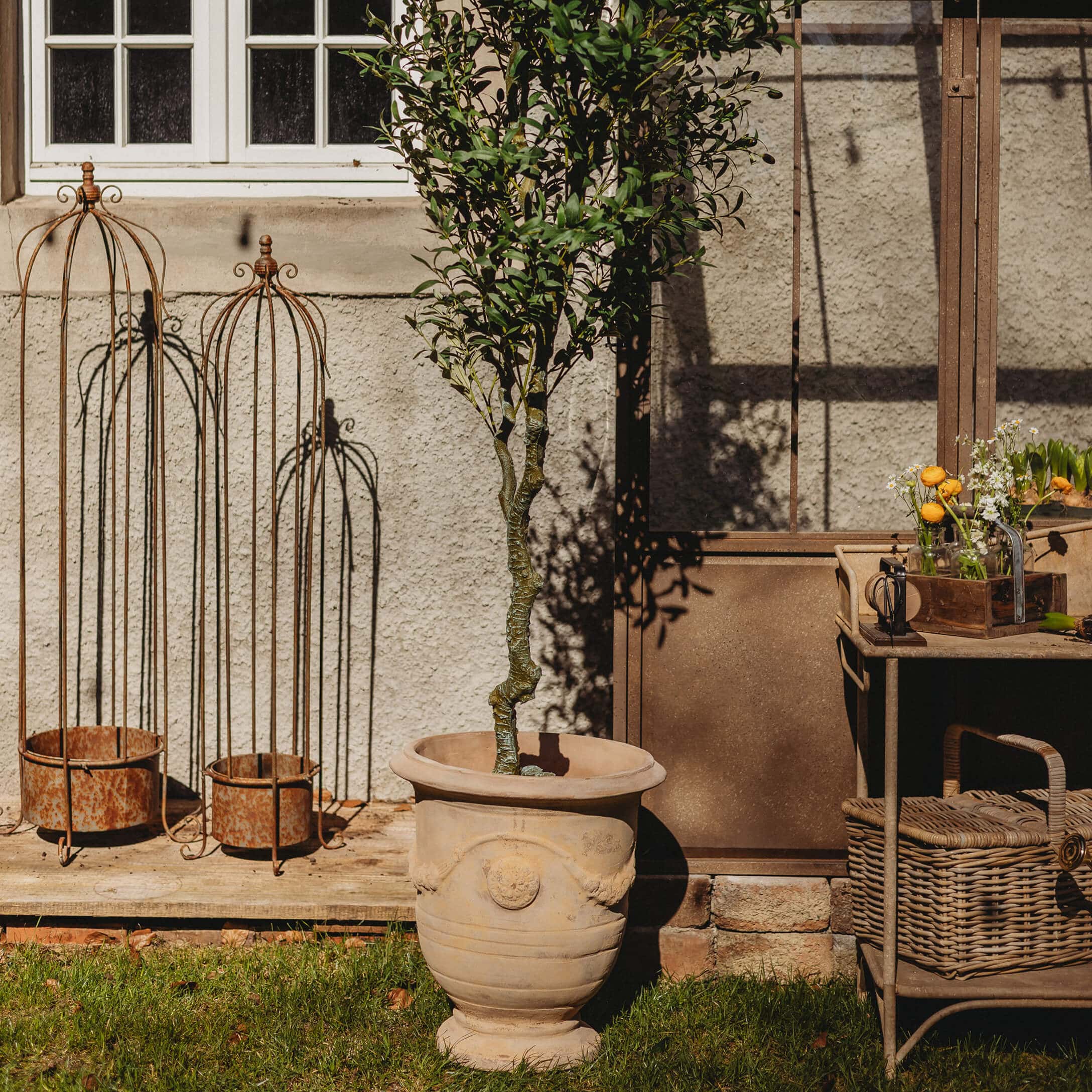 Großer beiger Keramiktopf mit grünem Baum vor Gartenwand und rostigen Metall-Dekoelementen