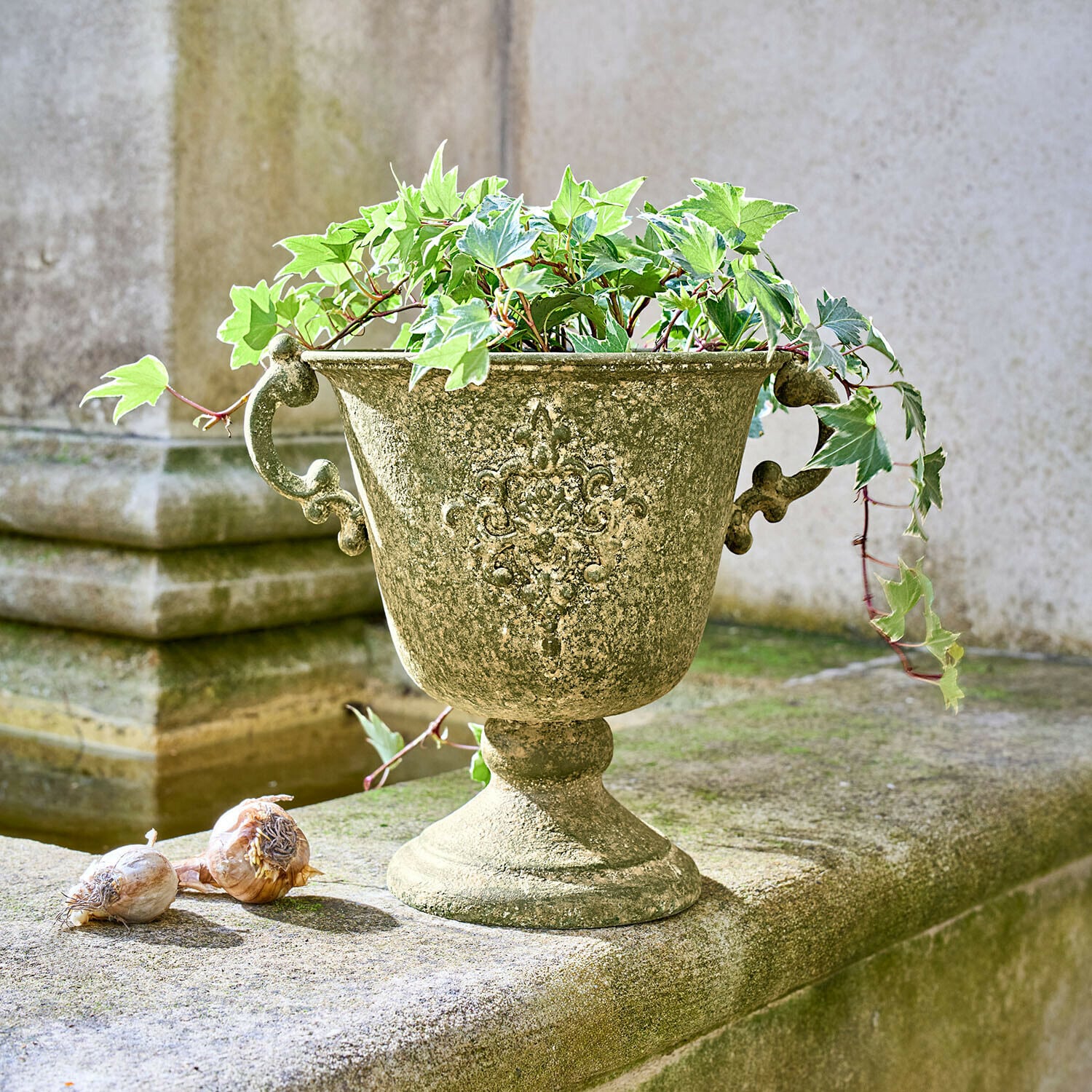 Amphore Ivyridge
