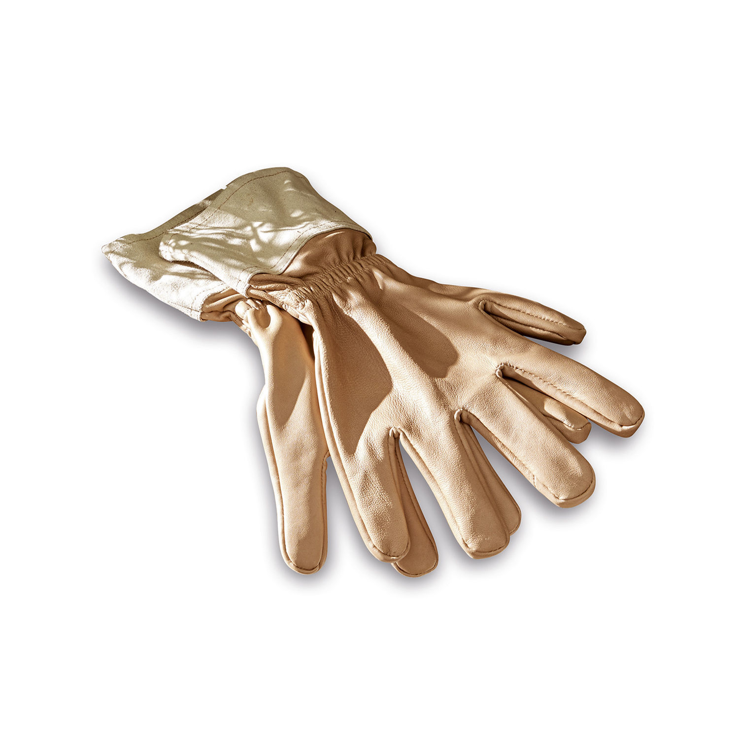 Handschuhe Antros Beige Arbeitshandschuhe aus weichem Leder mit elastischem Bund zum Handschutz